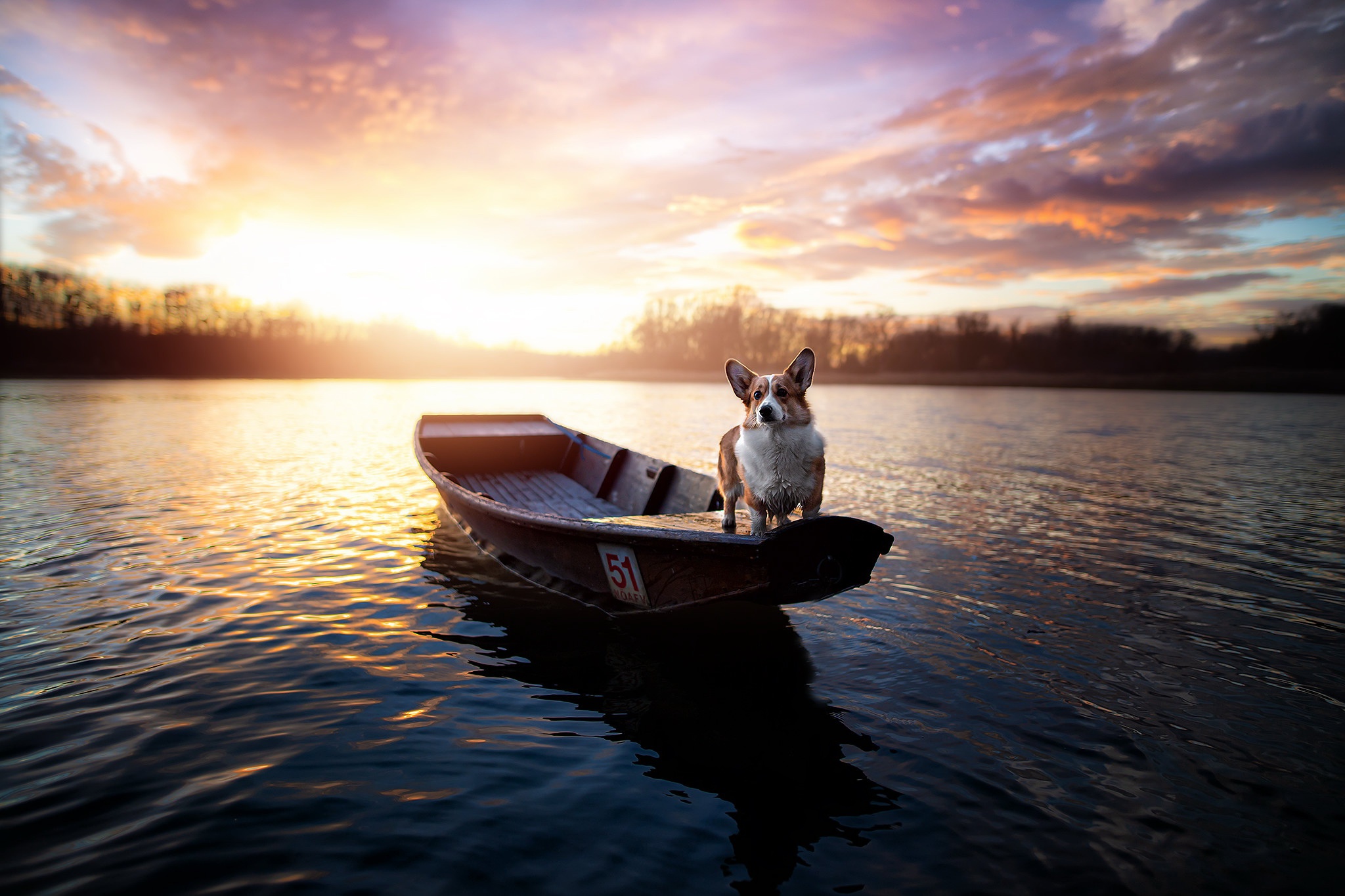 Laden Sie das Tiere, Hunde, See, Hund, Boot, Corgi, Sonnenuntergang-Bild kostenlos auf Ihren PC-Desktop herunter