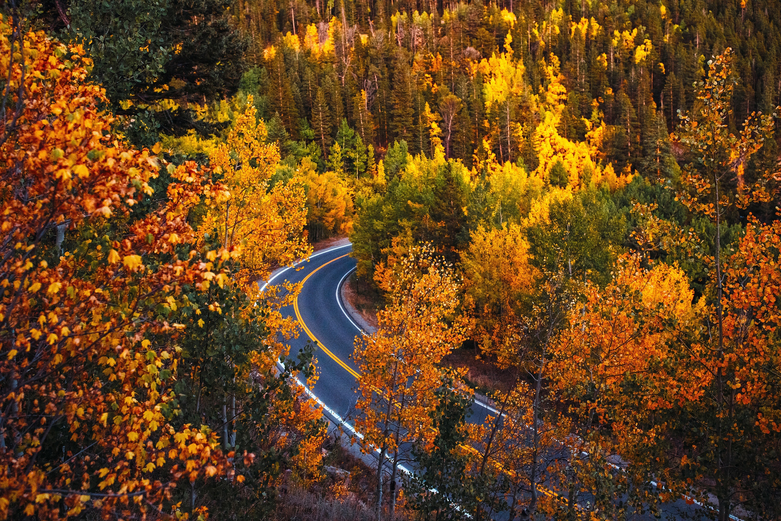 Download mobile wallpaper Road, Forest, Fall, Colorado, Man Made for free.
