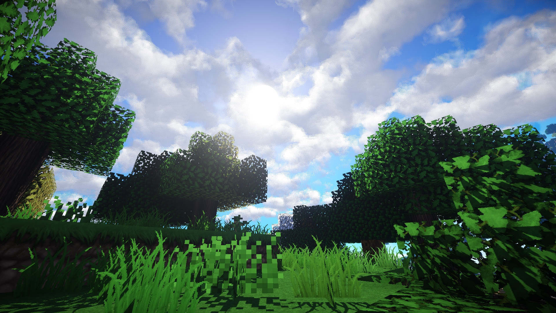 minecraft, video game, forest, grass, mojang, sky