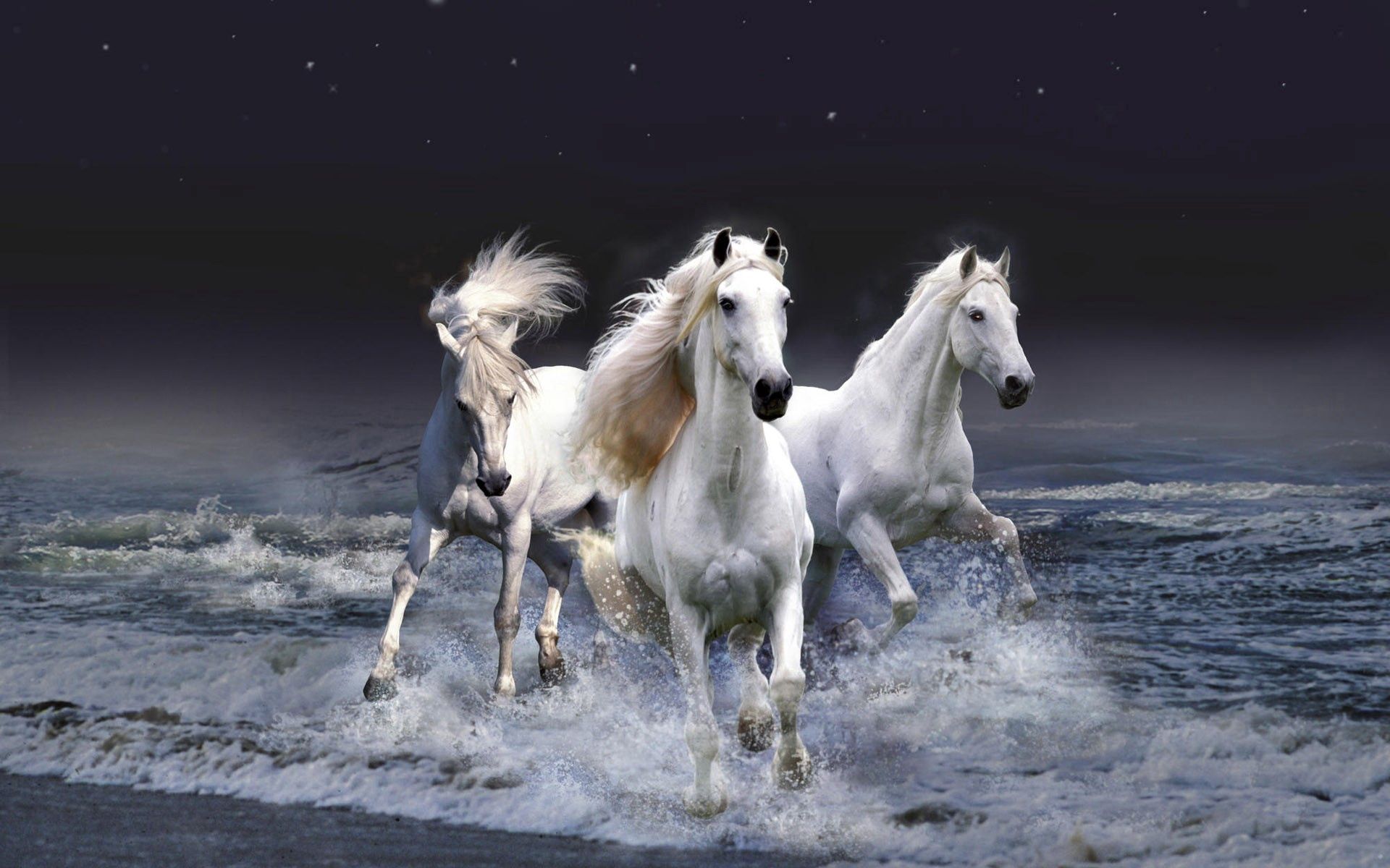 140631 скачать обои лошади, животные, бег, волны, небо - заставки и картинки бесплатно