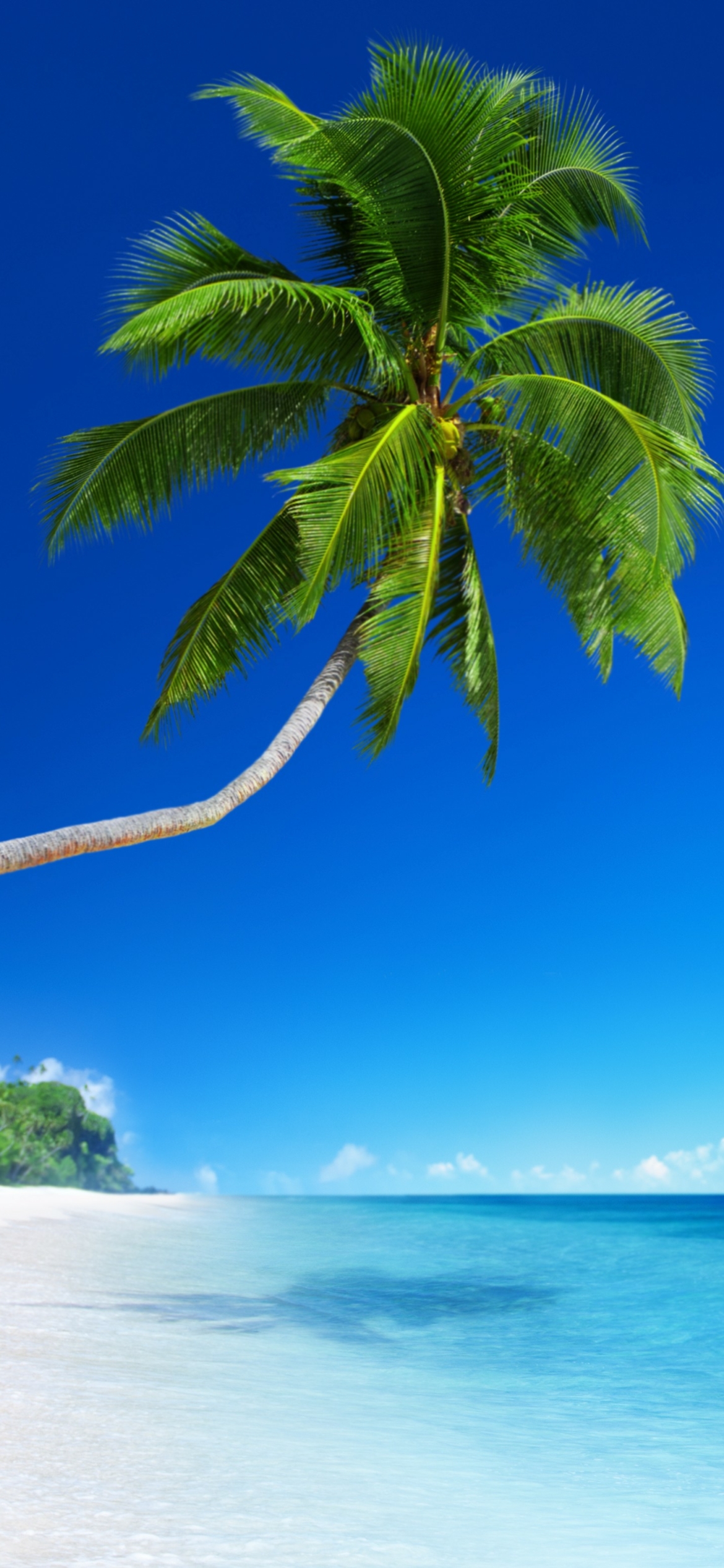 Download mobile wallpaper Horizon, Ocean, Earth, Tropical, Palm Tree for free.