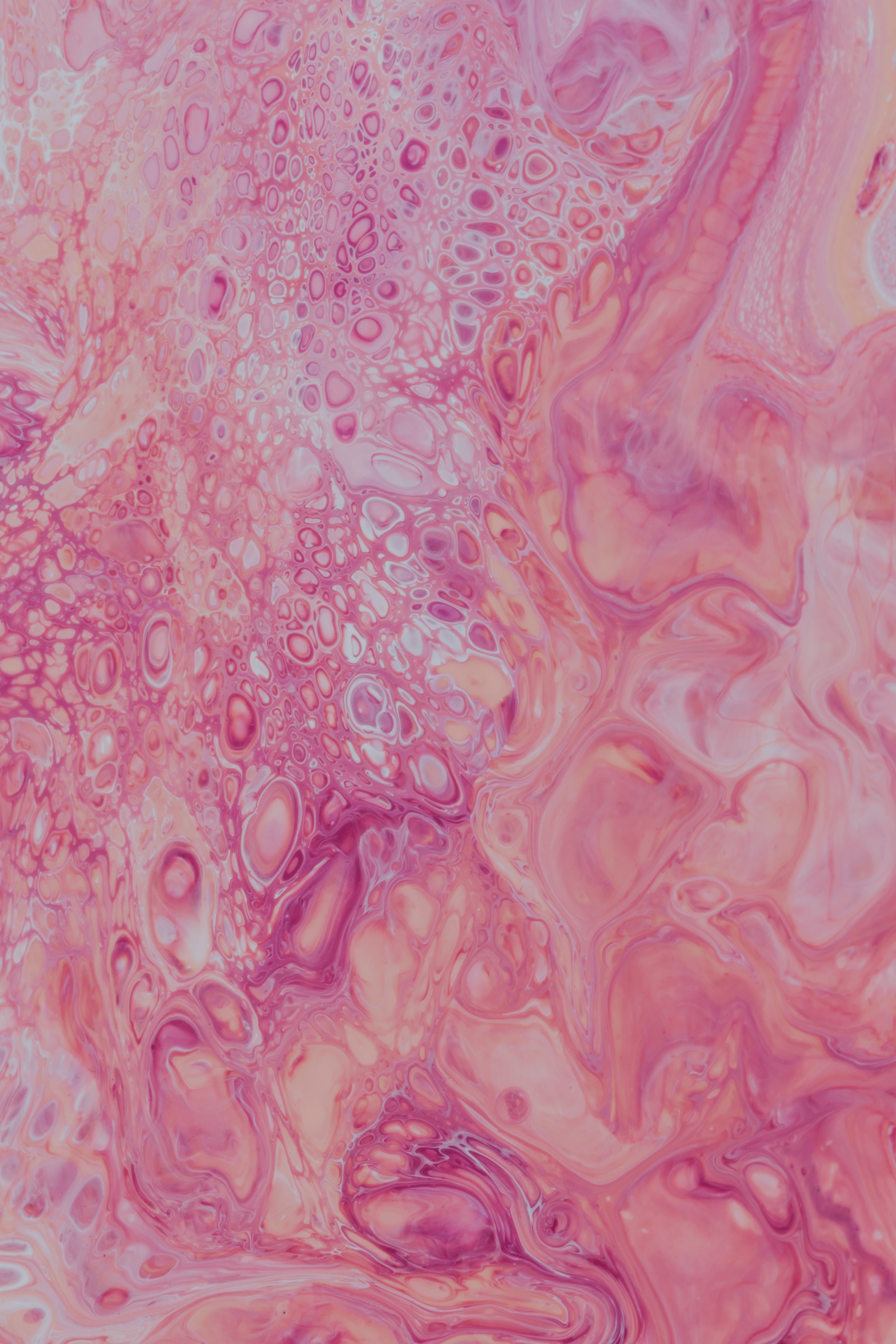 Download mobile wallpaper Pink, Divorces, Liquid, Texture, Bubbles, Abstract for free.