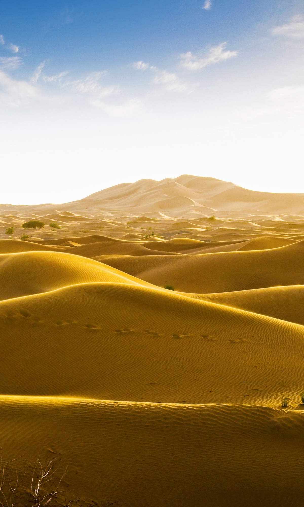 Descarga gratuita de fondo de pantalla para móvil de Desierto, Tierra/naturaleza.