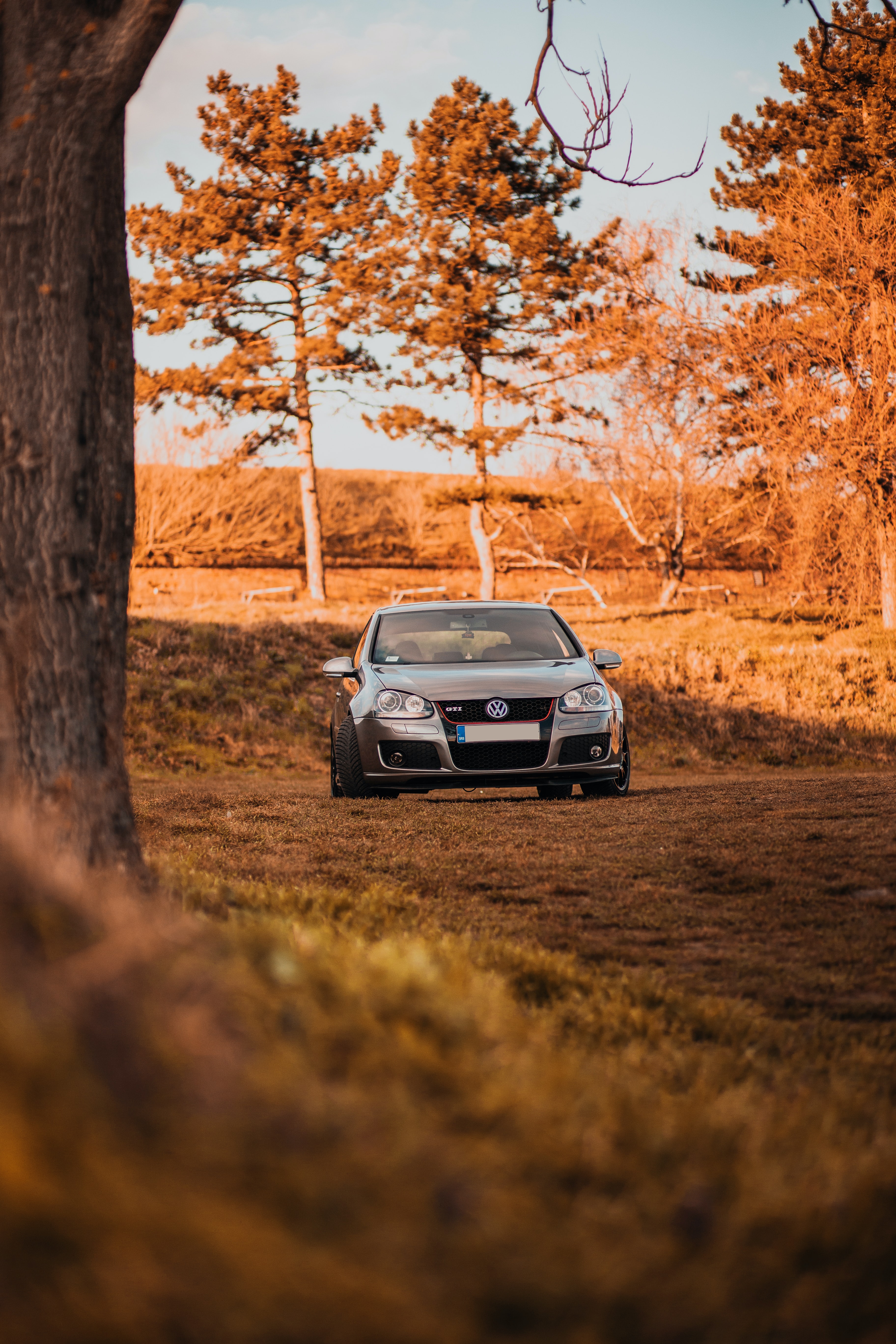 Download mobile wallpaper Autumn, Car, Trees, Grey, Cars, Volkswagen for free.