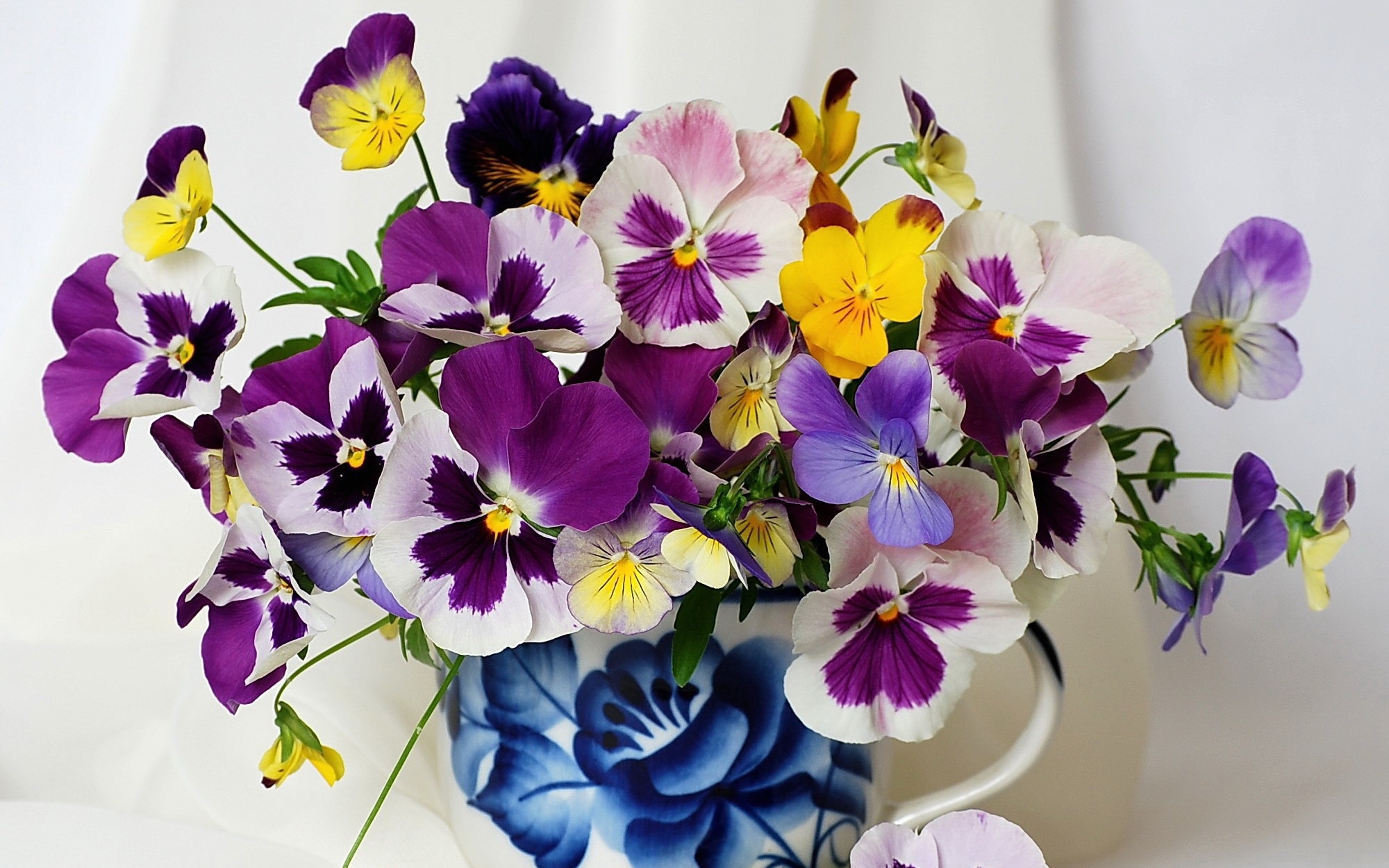 Laden Sie das Stiefmütterchen, Blume, Erde, Vase, Bunt, Menschengemacht-Bild kostenlos auf Ihren PC-Desktop herunter