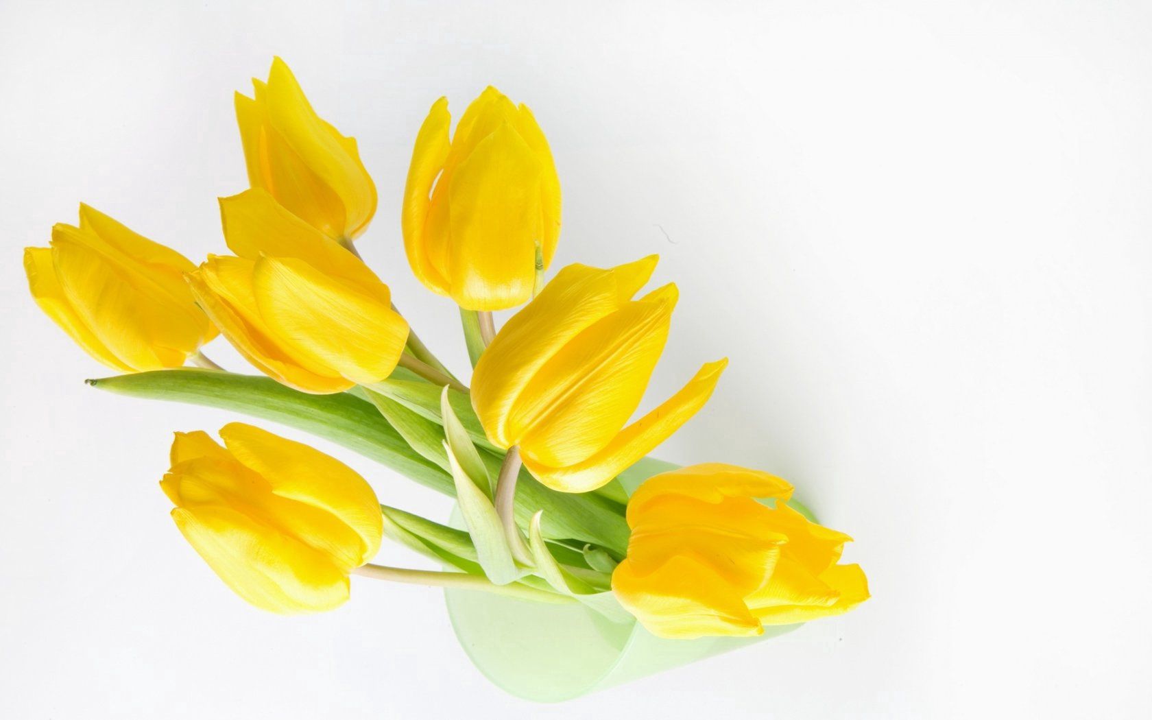 122713 descargar fondo de pantalla flores, tulipanes, amarillo, banco, brillar, luz, tarro: protectores de pantalla e imágenes gratis