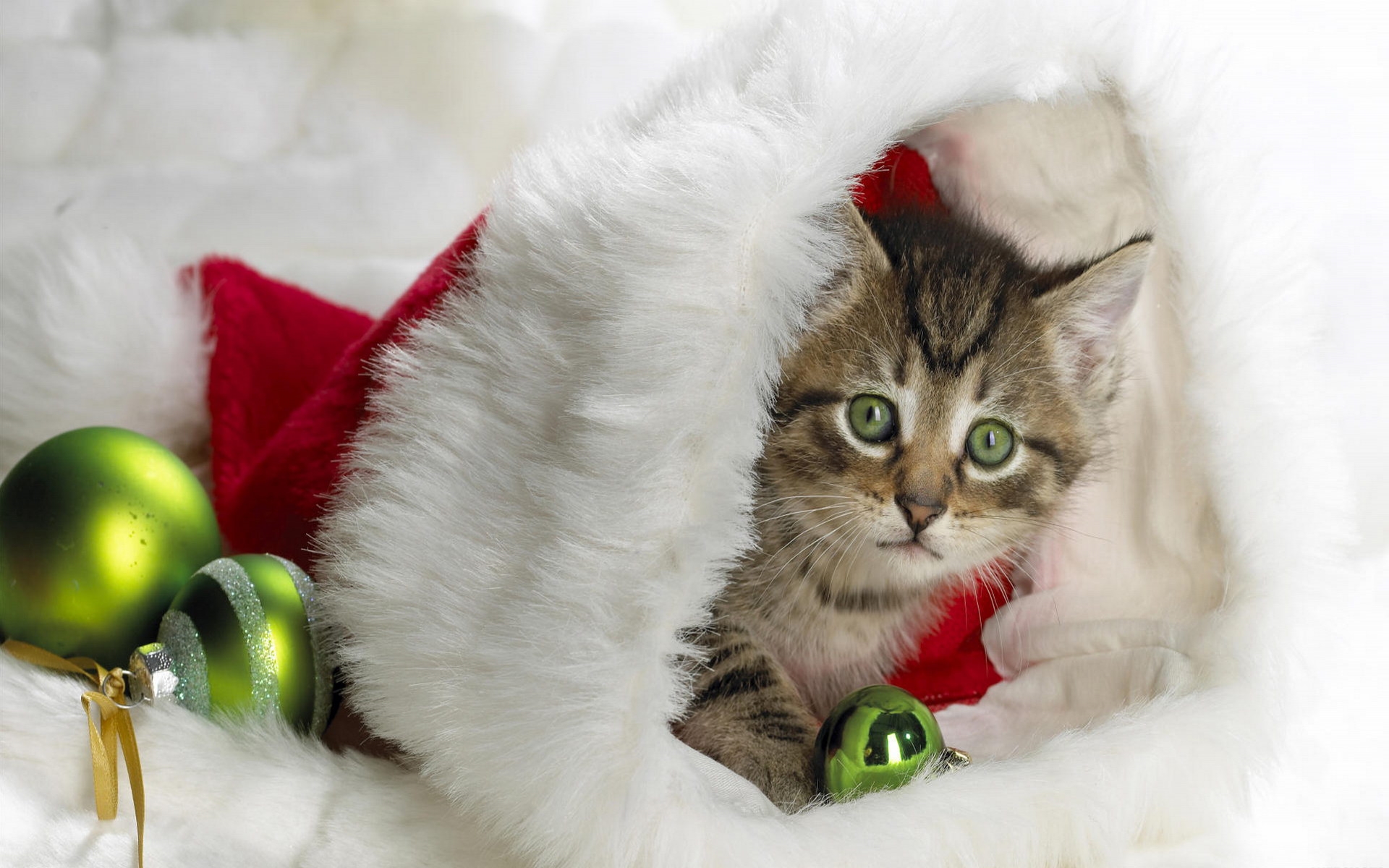 522967 скачать картинку животные, рождество, котенок, кошка, шляпа санты, кошки - обои и заставки бесплатно