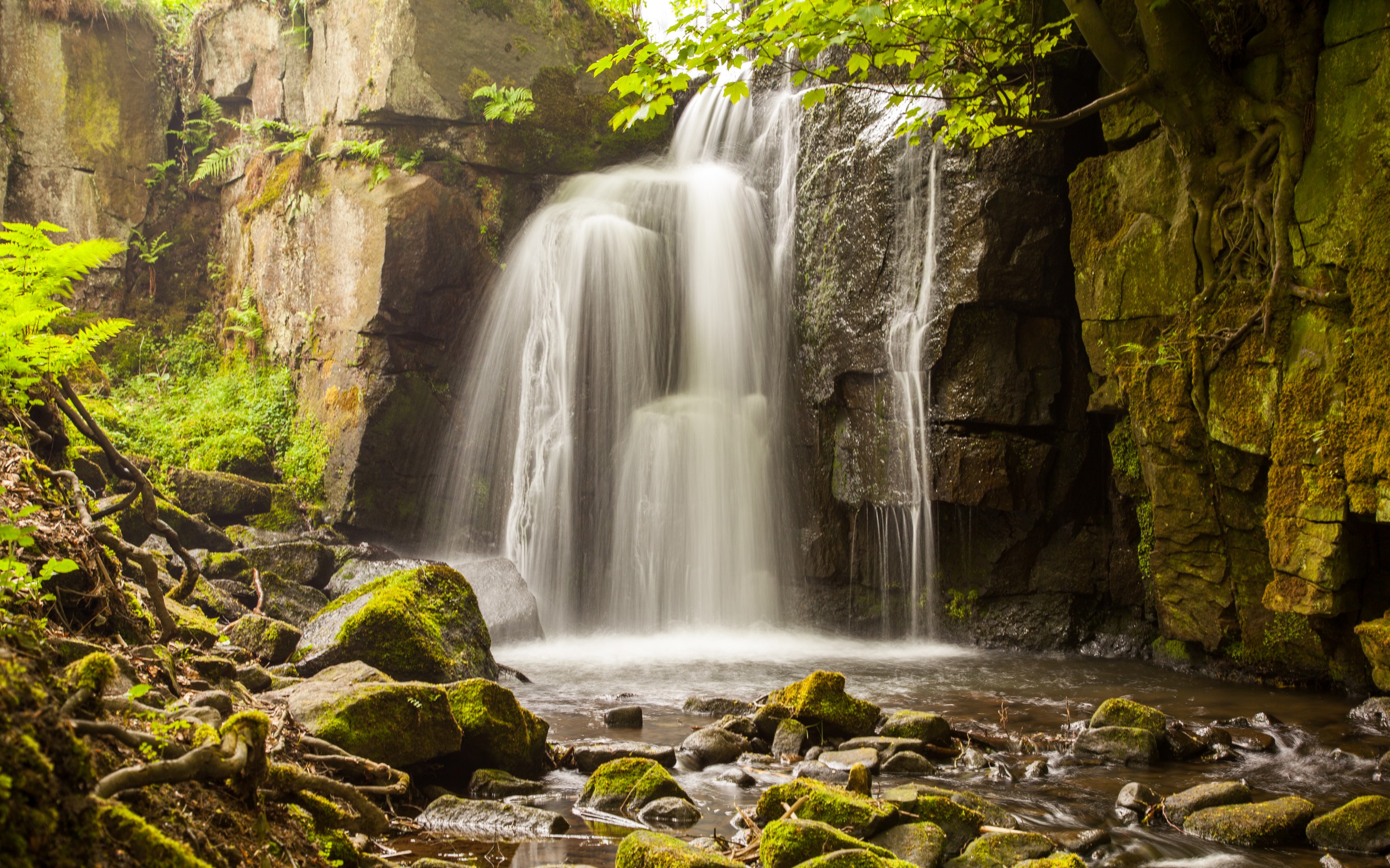 Free download wallpaper Nature, Water, Waterfalls, Waterfall, Earth, Moss on your PC desktop