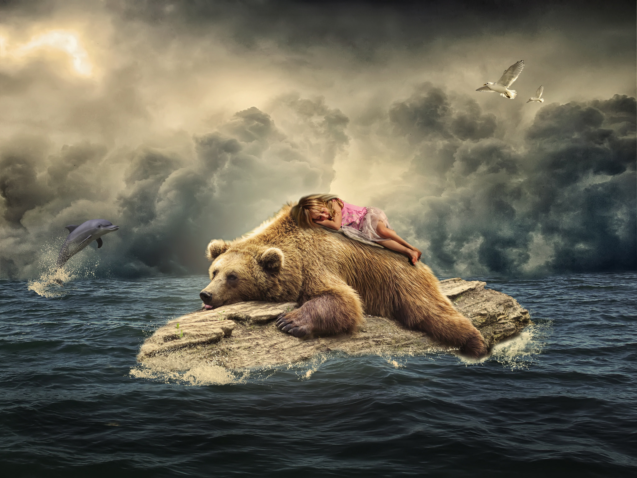 Скачать обои бесплатно Облака, Океан, Медведь, Дельфин, Фотографии, Манипуляции, Малышка картинка на рабочий стол ПК