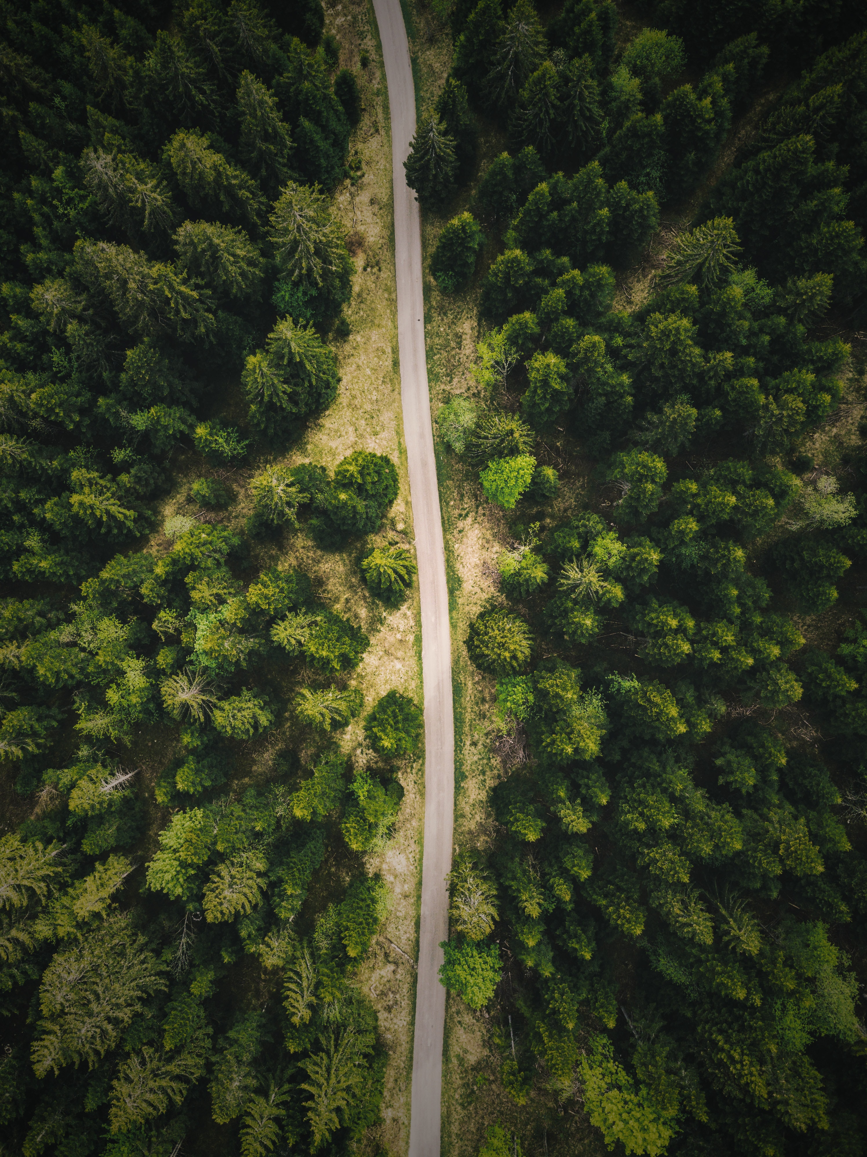 Free download wallpaper Trees, View From Above, Road, Forest, Nature on your PC desktop