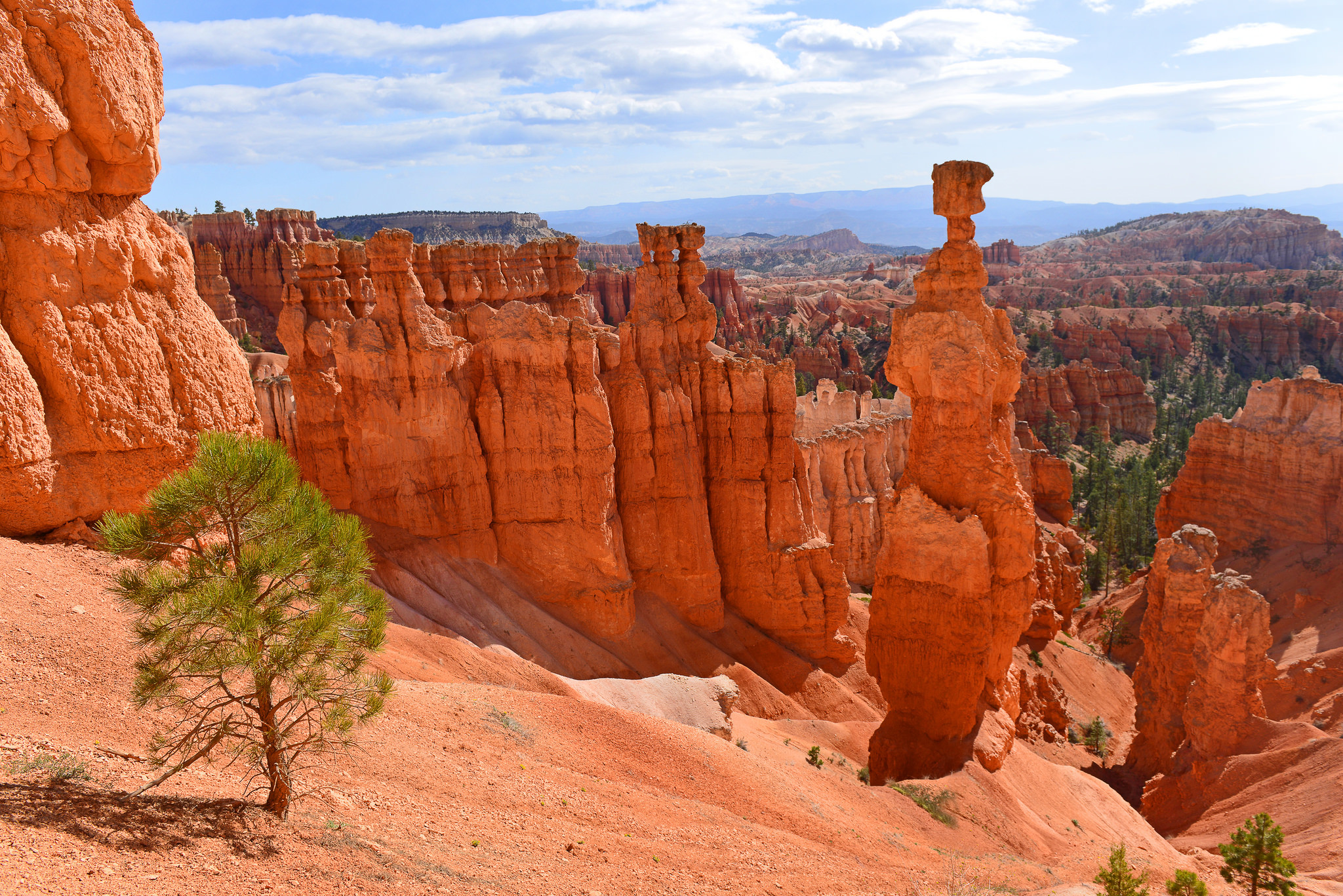 earth, bryce canyon national park, canyon, cliff, landscape, national park, nature