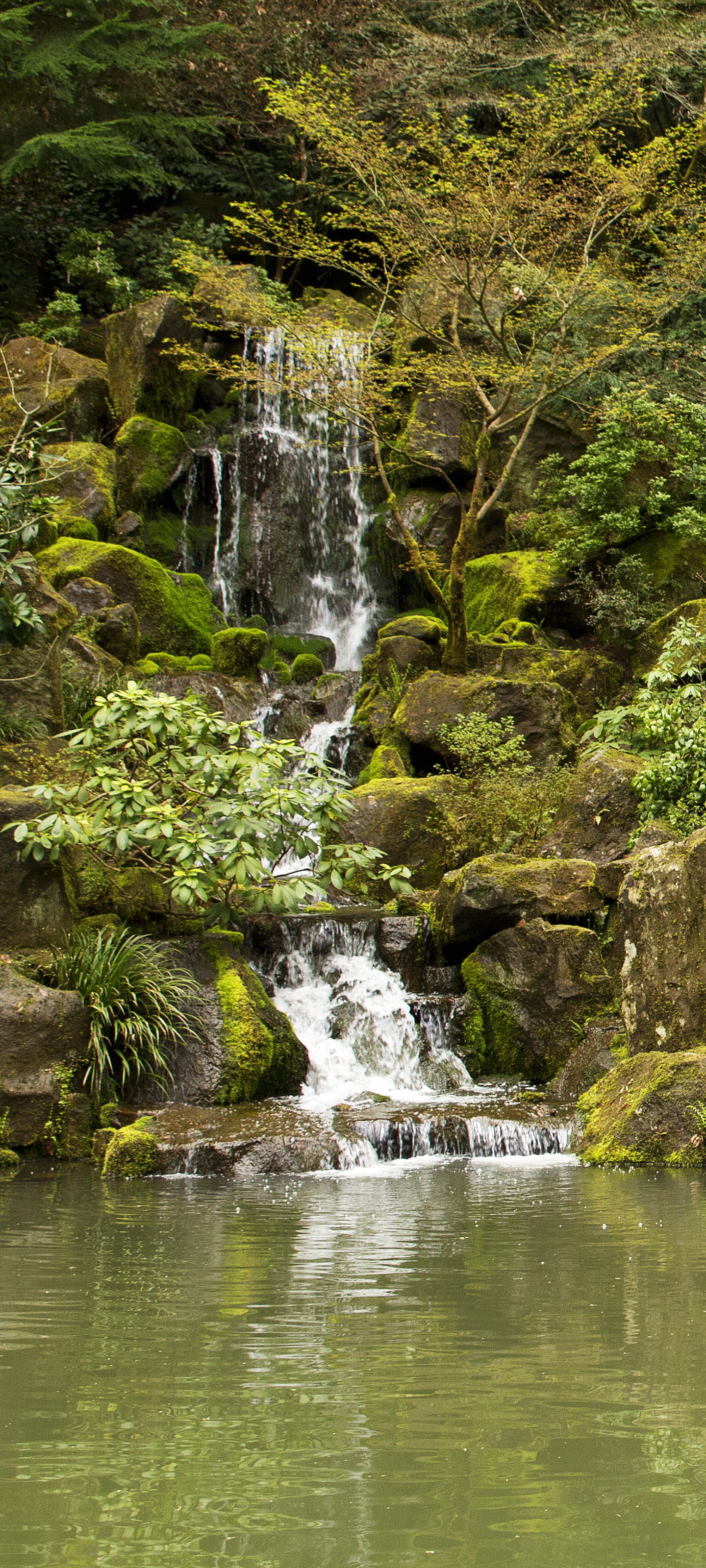 Handy-Wallpaper Natur, Wasserfall, Teich, Menschengemacht, Japanischer Garten kostenlos herunterladen.