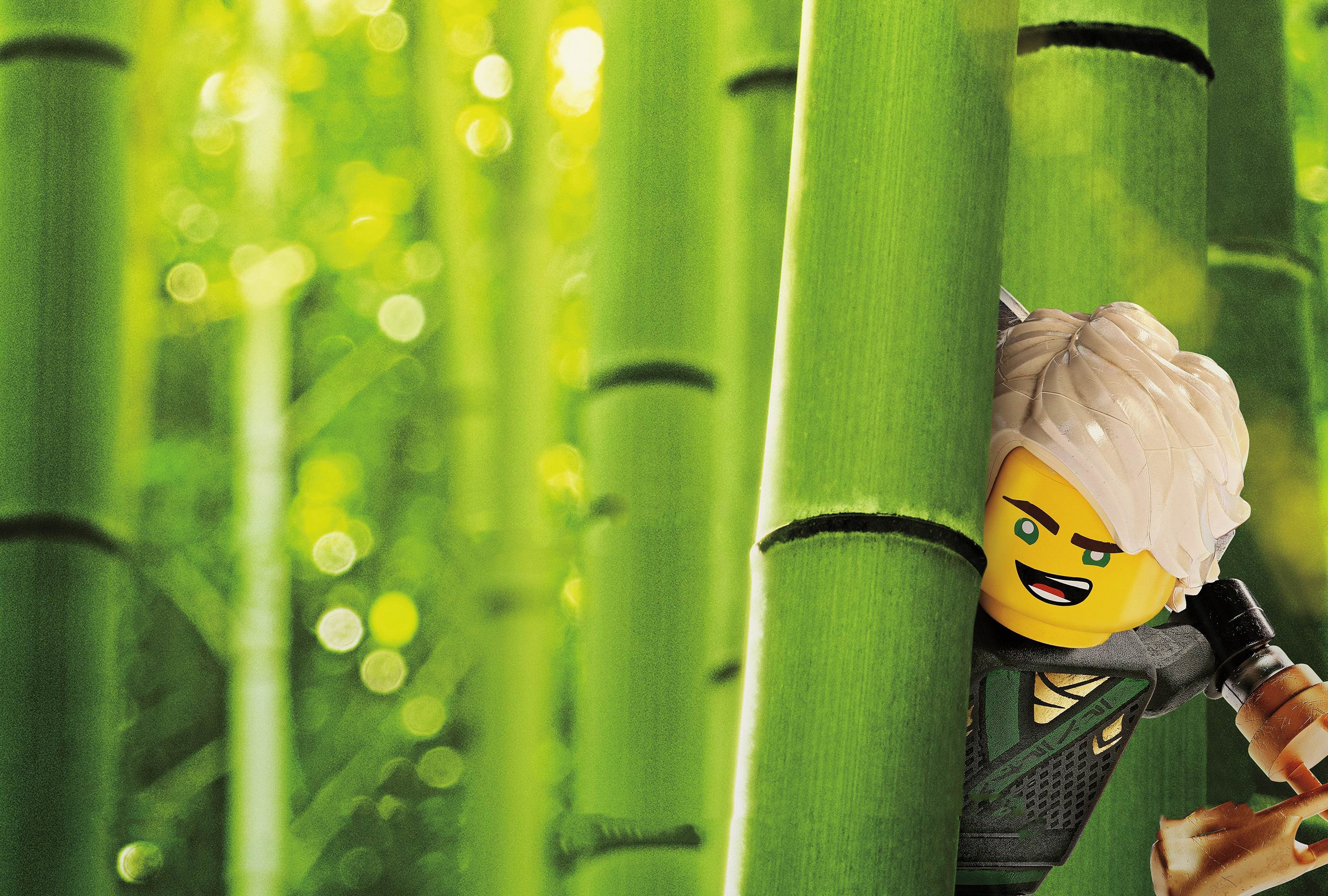 417043 Hintergrundbilder und The Lego Ninjago Movie Bilder auf dem Desktop. Laden Sie  Bildschirmschoner kostenlos auf den PC herunter