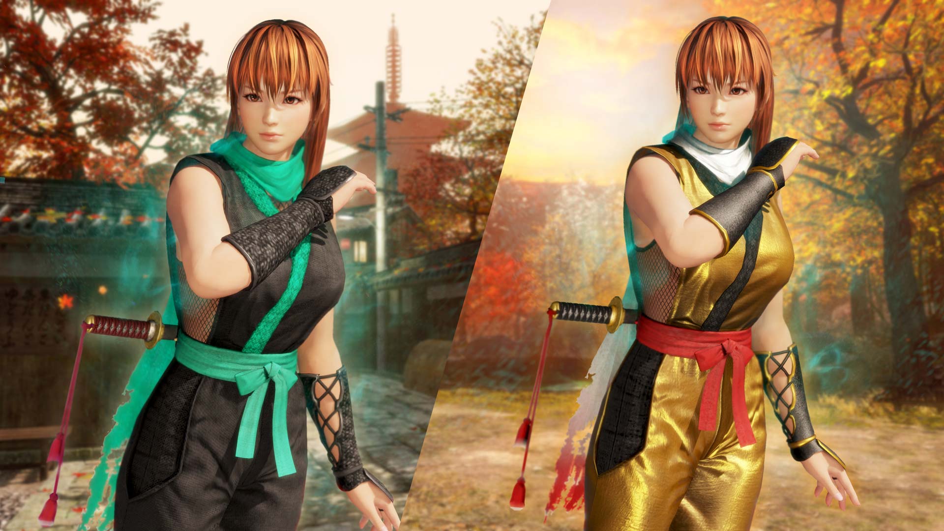video game, dead or alive 6, phase 4 (dead or alive)
