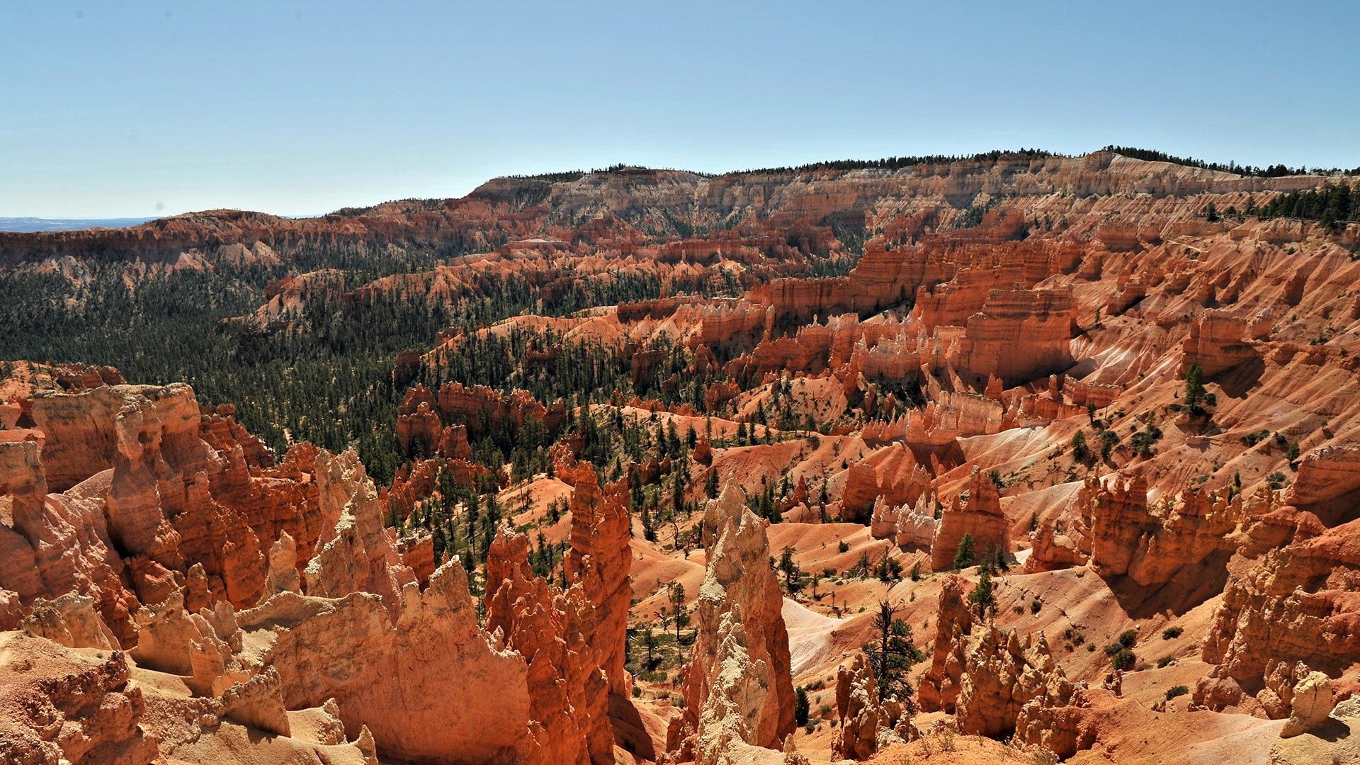 nature, trees, desert, height, canyons for Windows