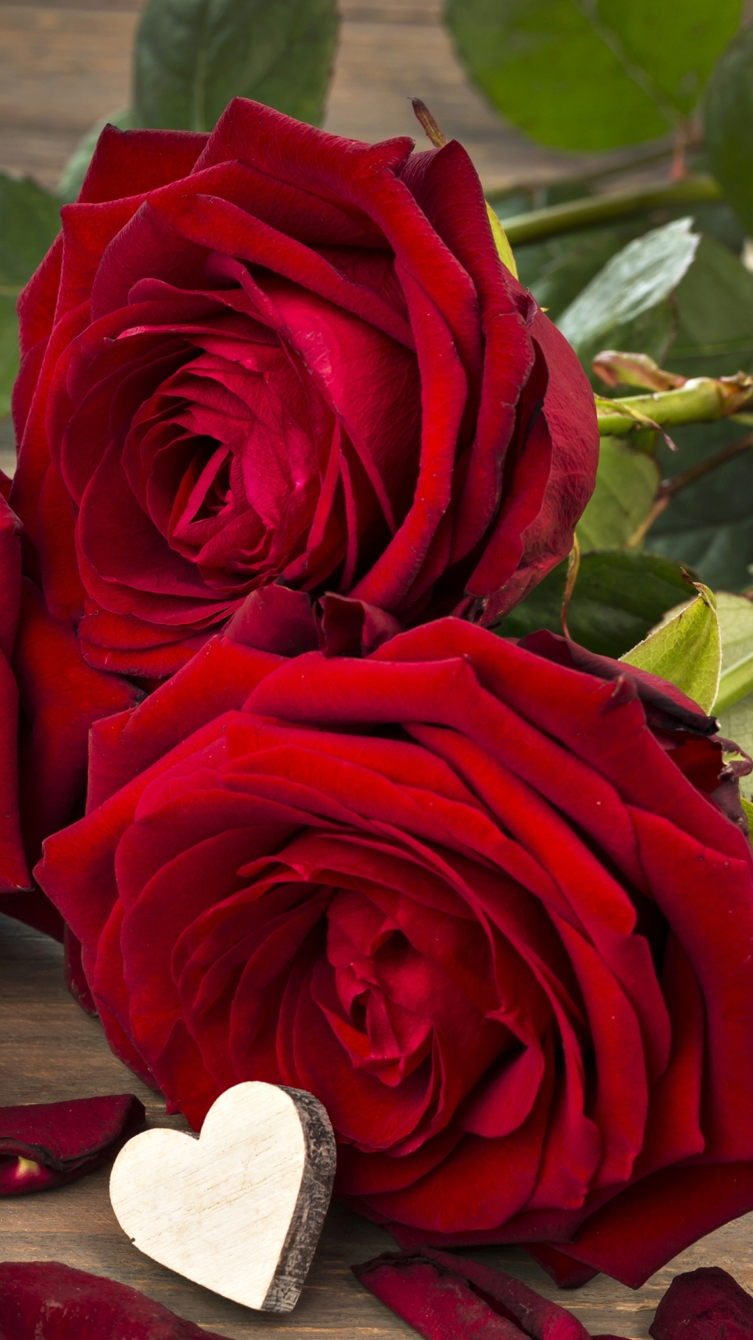Скачать картинку Любовь, Цветок, Роза, Красная Роза, Красный Цветок, Земля/природа, Романтический, Флауэрсы в телефон бесплатно.