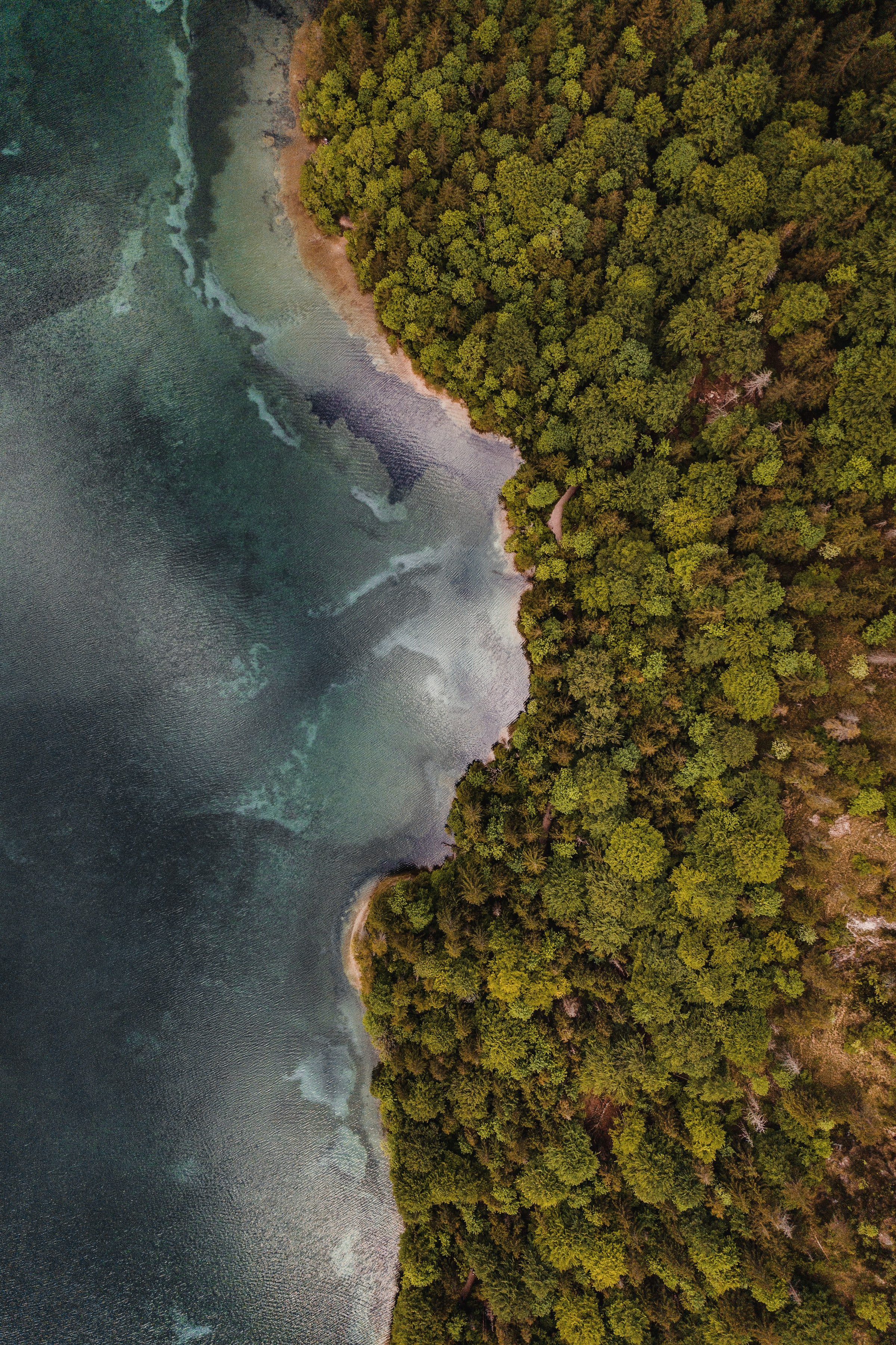 Free download wallpaper Trees, Forest, Nature, View From Above, Sea, Coast on your PC desktop