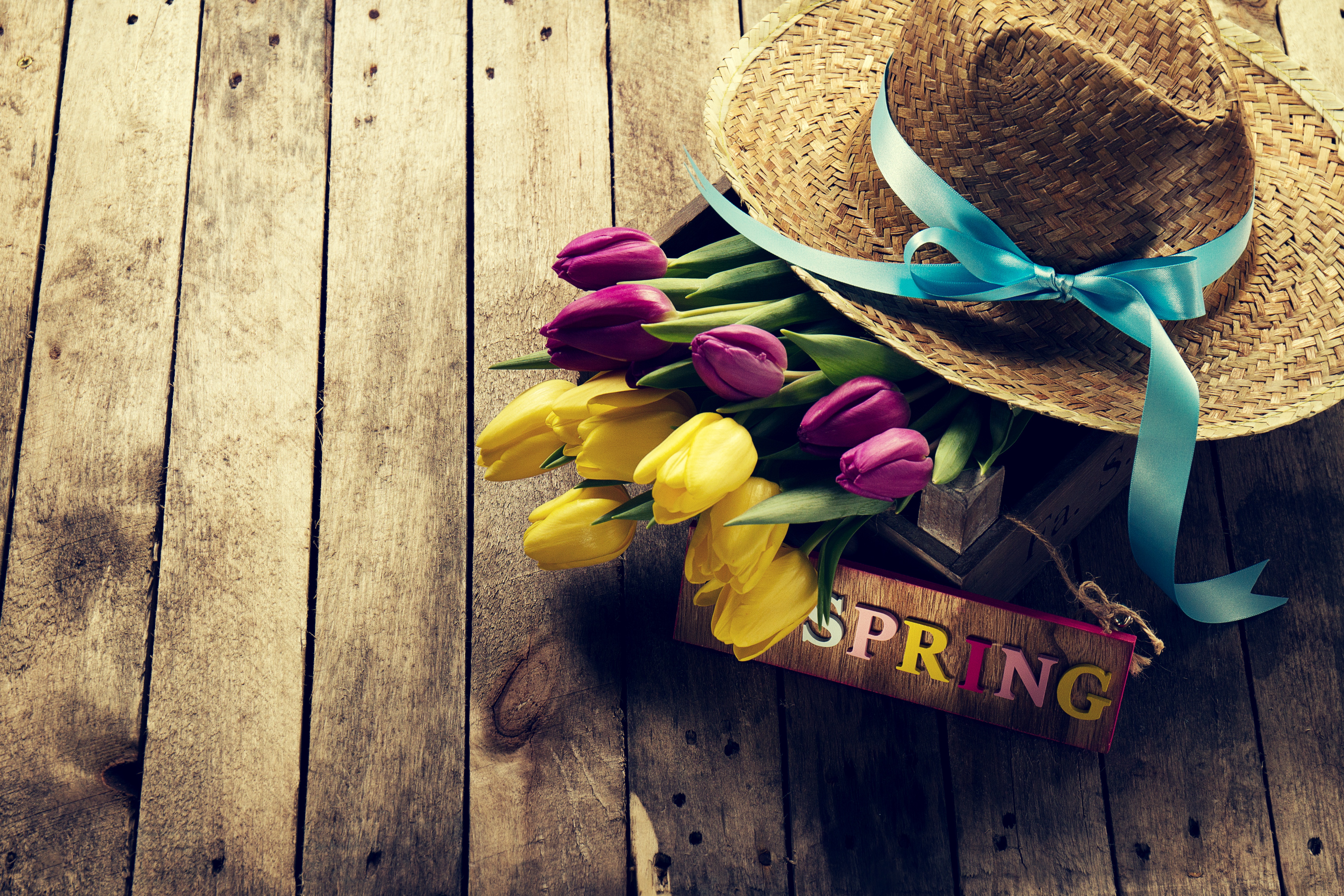 Download mobile wallpaper Still Life, Flower, Spring, Artistic, Tulip, Hat for free.