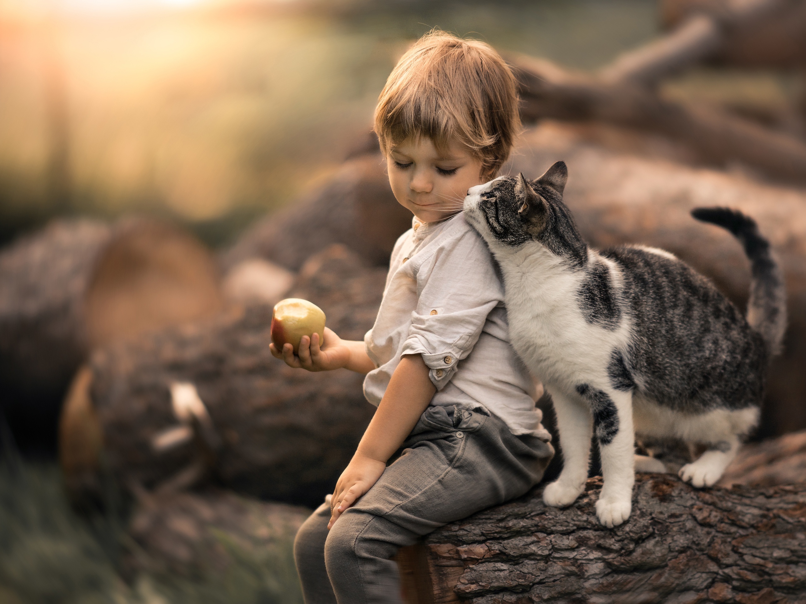 Download mobile wallpaper Apple, Cat, Child, Photography, Depth Of Field, Little Boy for free.