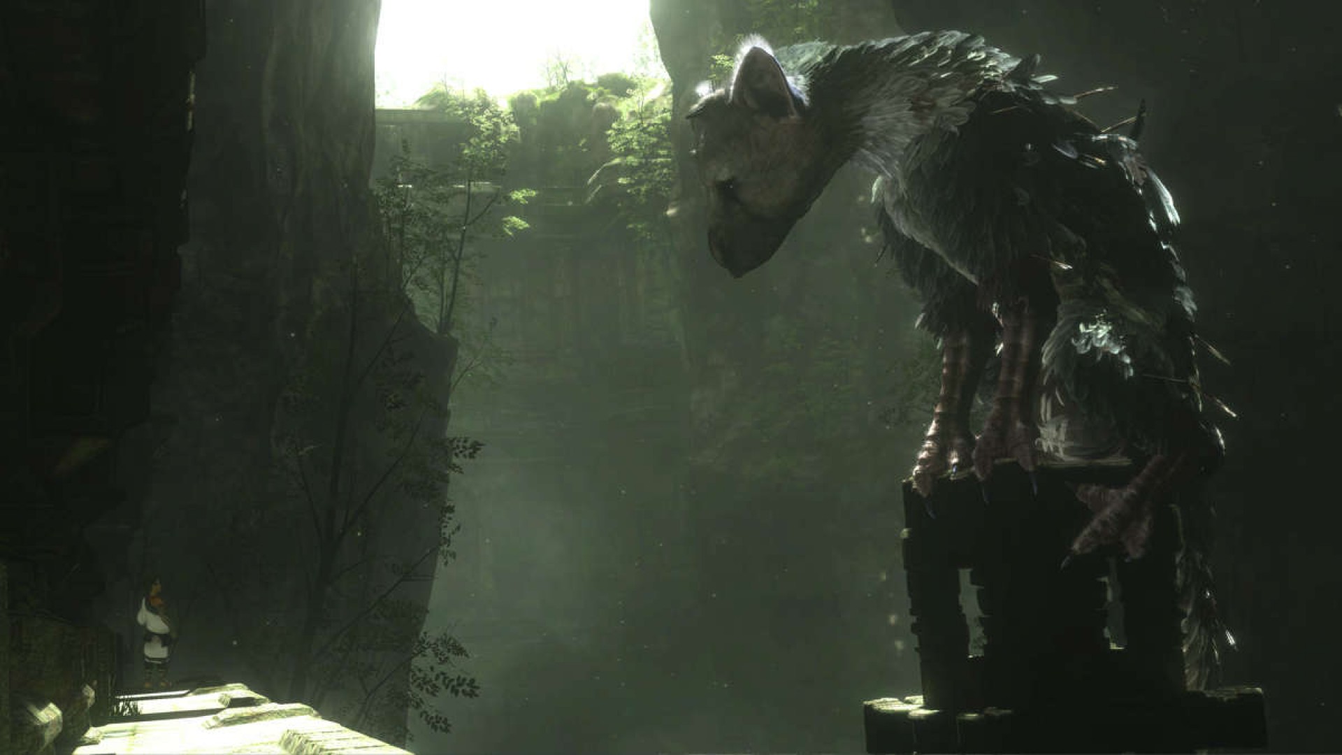 video game, the last guardian, creature