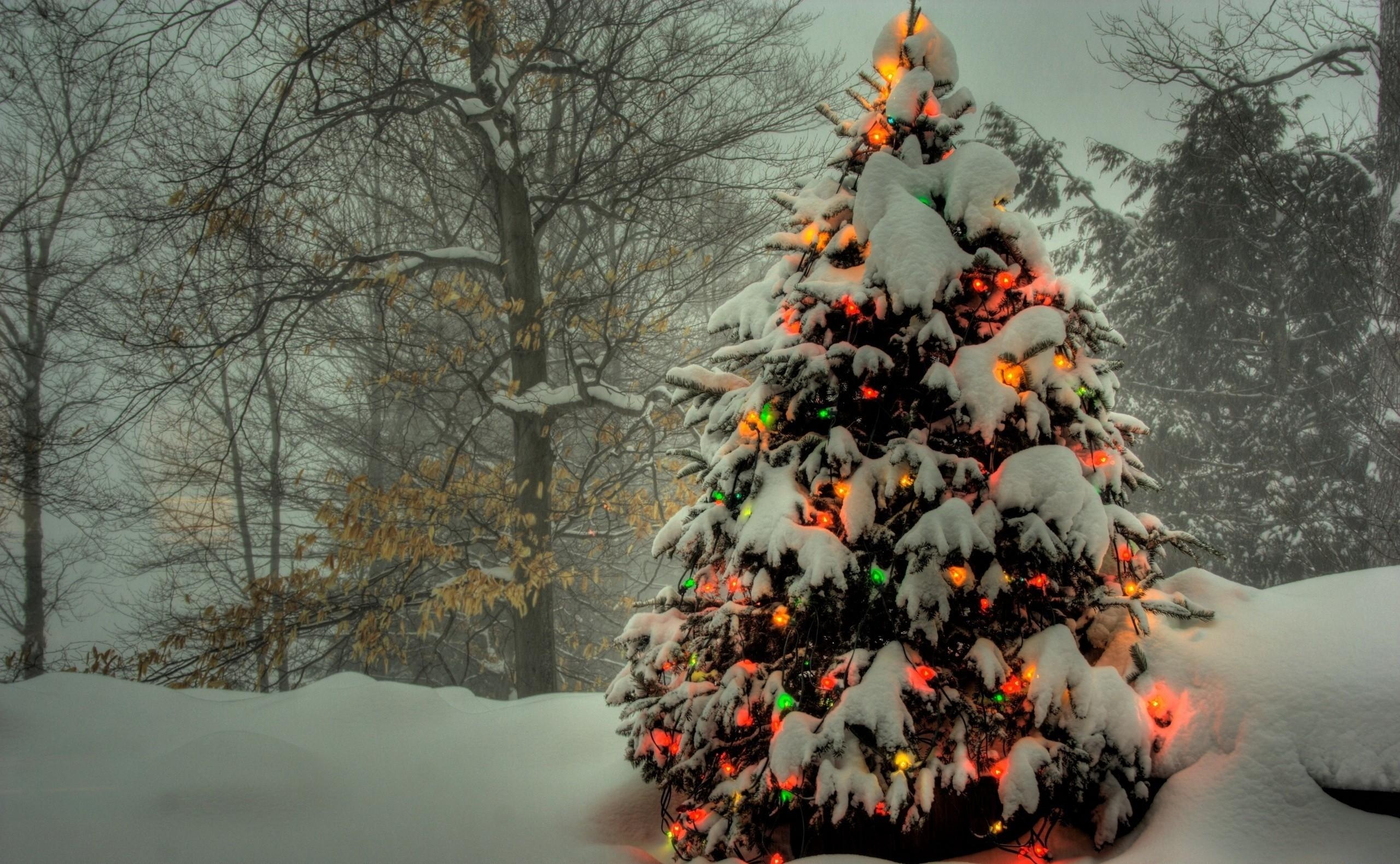 149927 Bild herunterladen winter, weihnachtsbaum, weihnachten, feiertage, bäume, neujahr, schnee, neues jahr, urlaub, garland, girlanden - Hintergrundbilder und Bildschirmschoner kostenlos