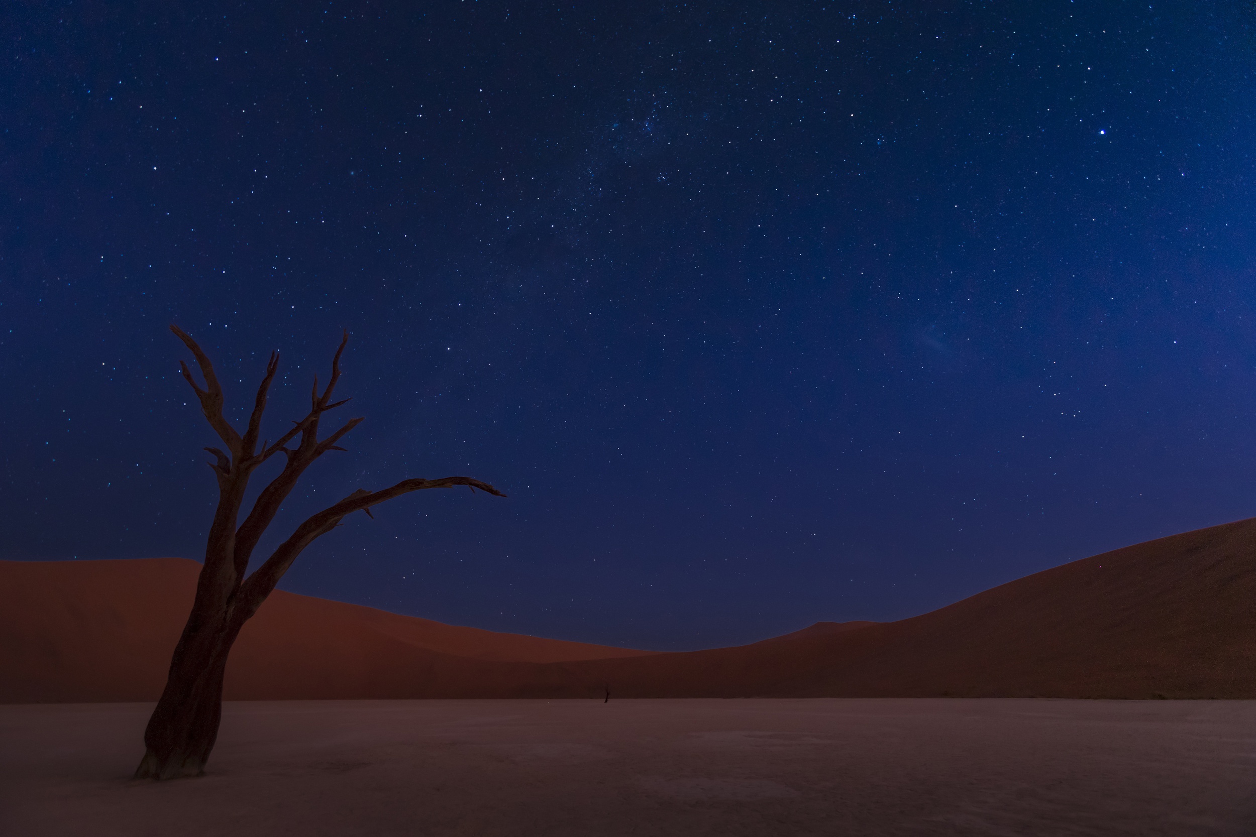 986496 завантажити картинку земля, пустеля, мертве дерево, дюна, намібія, ніч, небо, зірки - шпалери і заставки безкоштовно
