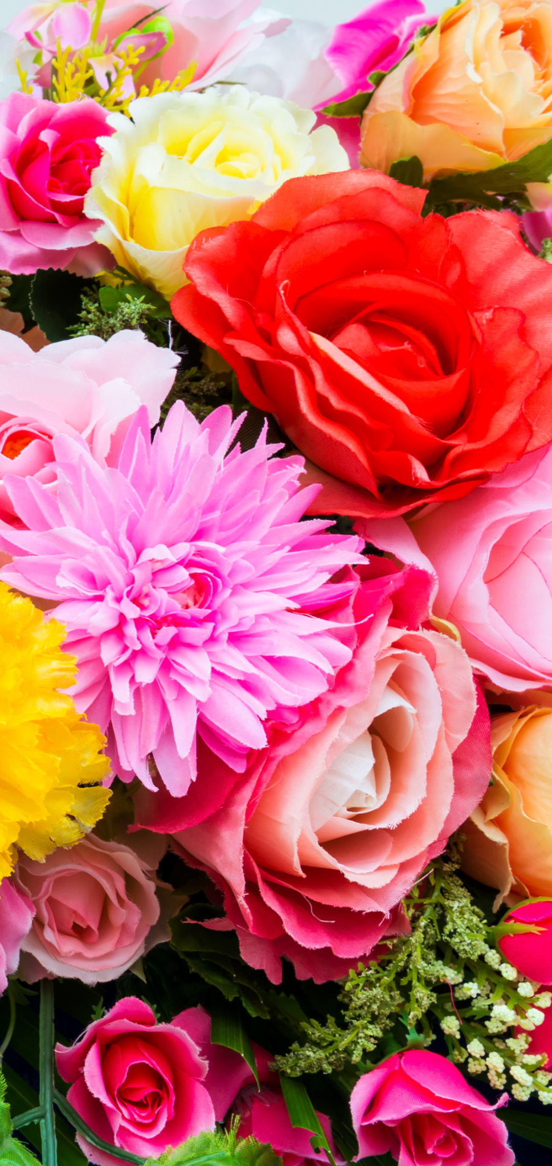 無料モバイル壁紙花, 薔薇, 色, ダリア, カラフル, リリー, 黄色い花, 赤い花, マンメイド, 紫色の花をダウンロードします。