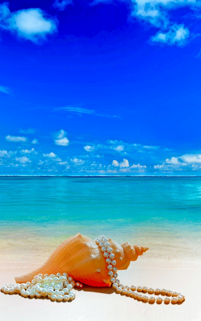Download mobile wallpaper Nature, Sky, Beach, Summer, Horizon, Tropical, Cloud, Pearl, Shell, Photography for free.