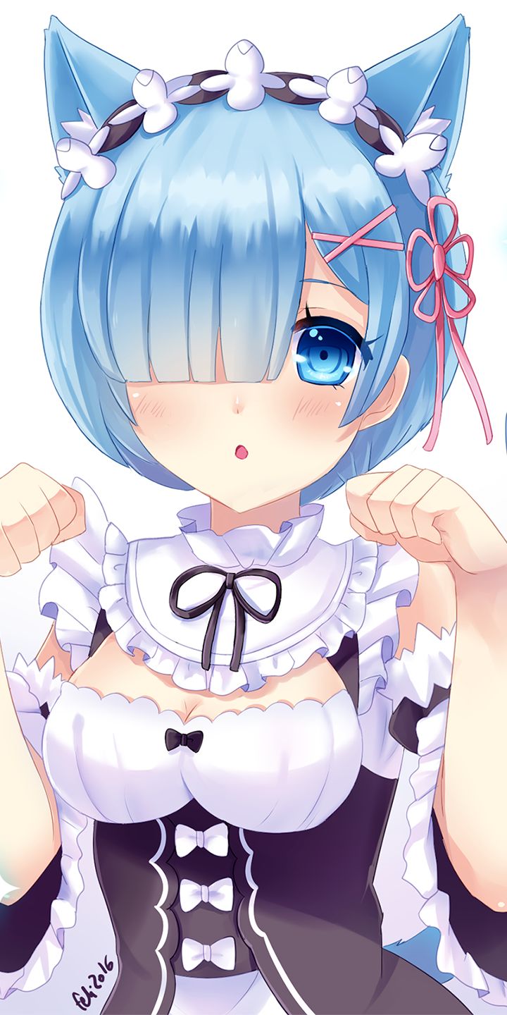 Descarga gratuita de fondo de pantalla para móvil de Ojos Azules, Animado, Pelo Azul, Orejas De Animales, Re:zero Comenzando La Vida En Otro Mundo, Rem (Re: Cero).