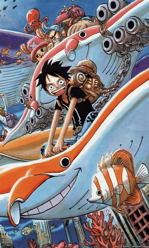 Baixar papel de parede para celular de Anime, One Piece, Tony Tony Chopper, Roronoa Zoro, Monkey D Luffy, Nami (One Piece), Sanji (One Piece), Nico Robin, Franky (One Piece) gratuito.