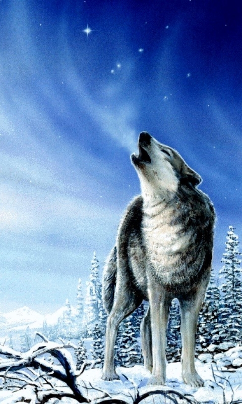 Handy-Wallpaper Tiere, Wolf, Heulen, Wolves kostenlos herunterladen.