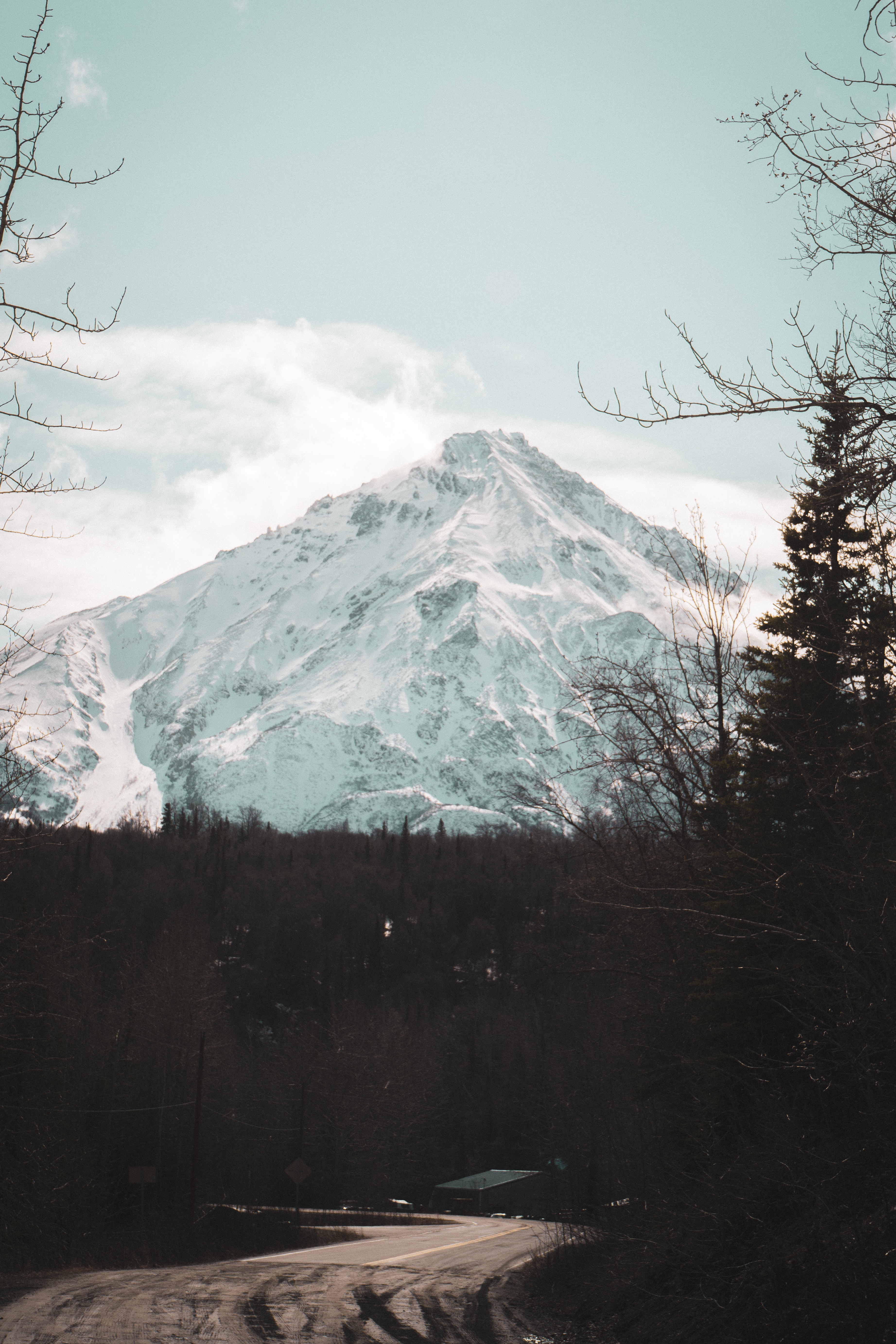 Descarga gratuita de fondo de pantalla para móvil de Naturaleza, Montaña, Arriba, Bosque, Cubierto De Nieve, Nevado, Vértice.