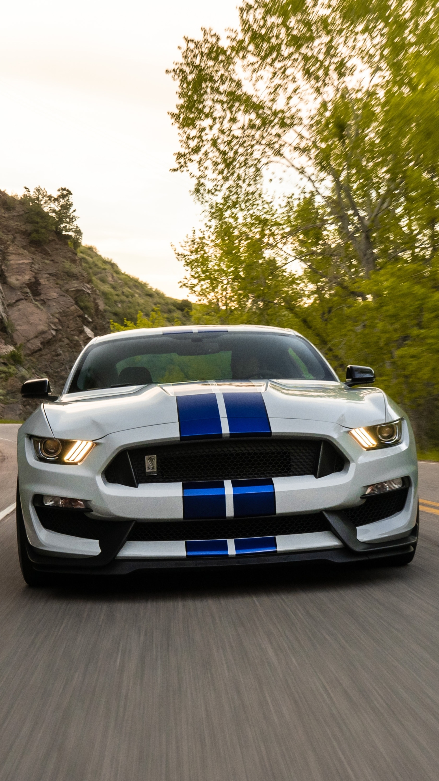 Download mobile wallpaper Ford, Car, Ford Mustang, Muscle Car, Ford Mustang Shelby Gt500, Vehicle, Vehicles for free.