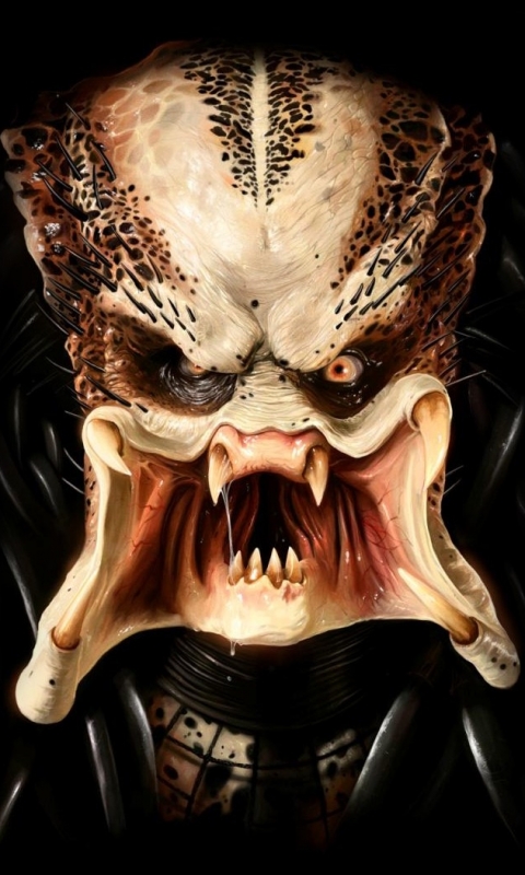 Download mobile wallpaper Alien, Predator, Sci Fi, Movie for free.