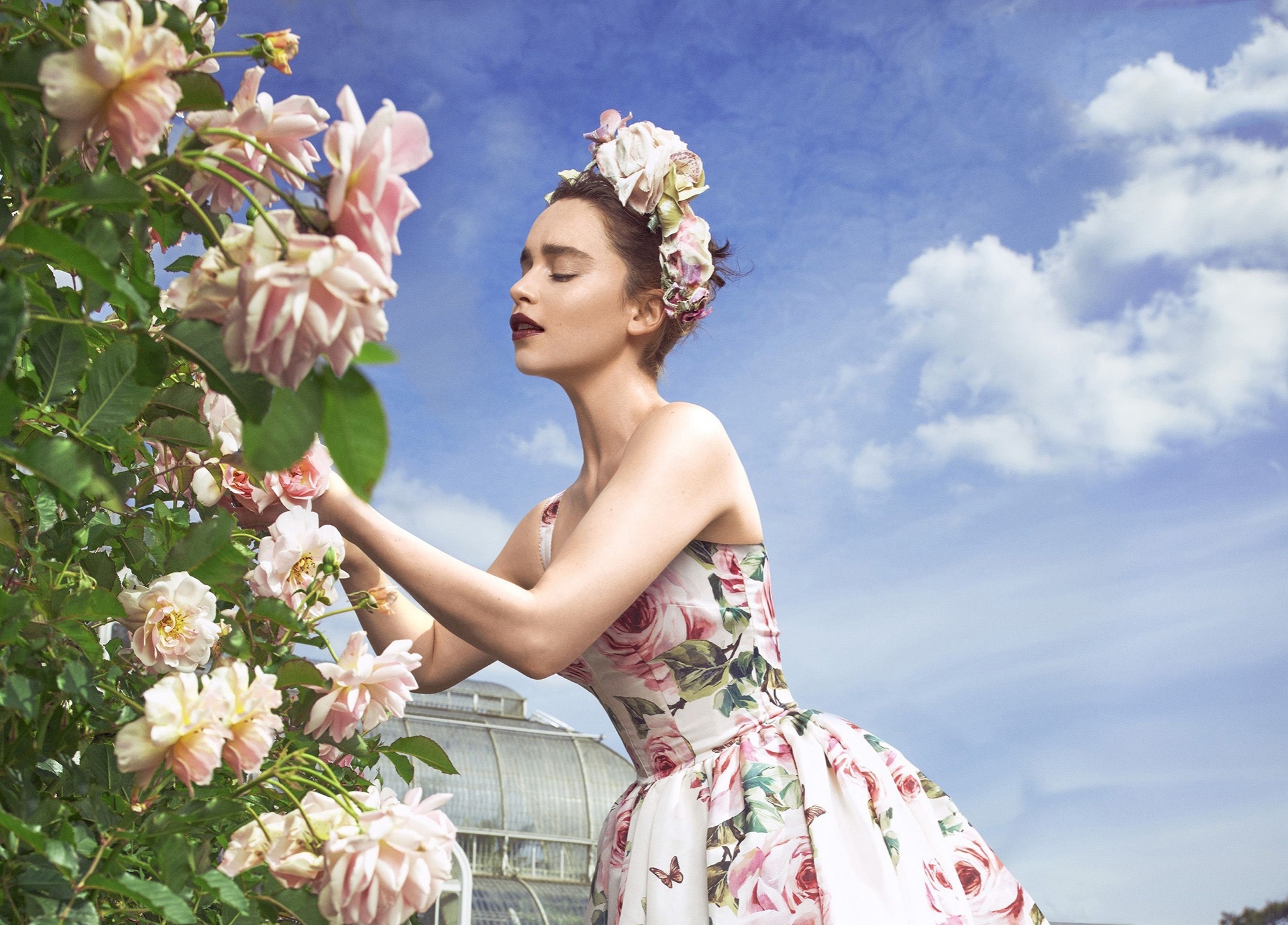 Download mobile wallpaper Flower, Rose, English, Wreath, Dress, Celebrity, Pink Flower, Actress, Lipstick, Emilia Clarke, Rose Bush for free.
