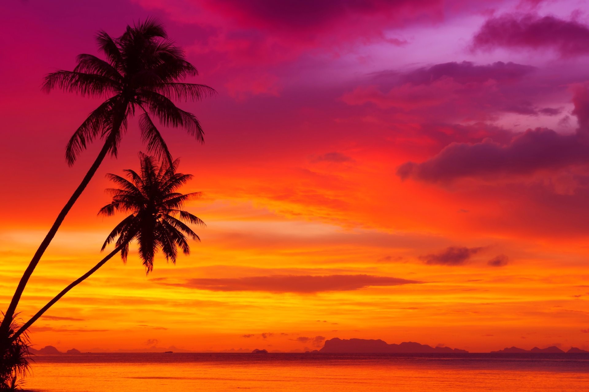 Download mobile wallpaper Sunset, Sky, Pink, Horizon, Silhouette, Earth, Purple, Tropical, Orange (Color), Palm Tree for free.