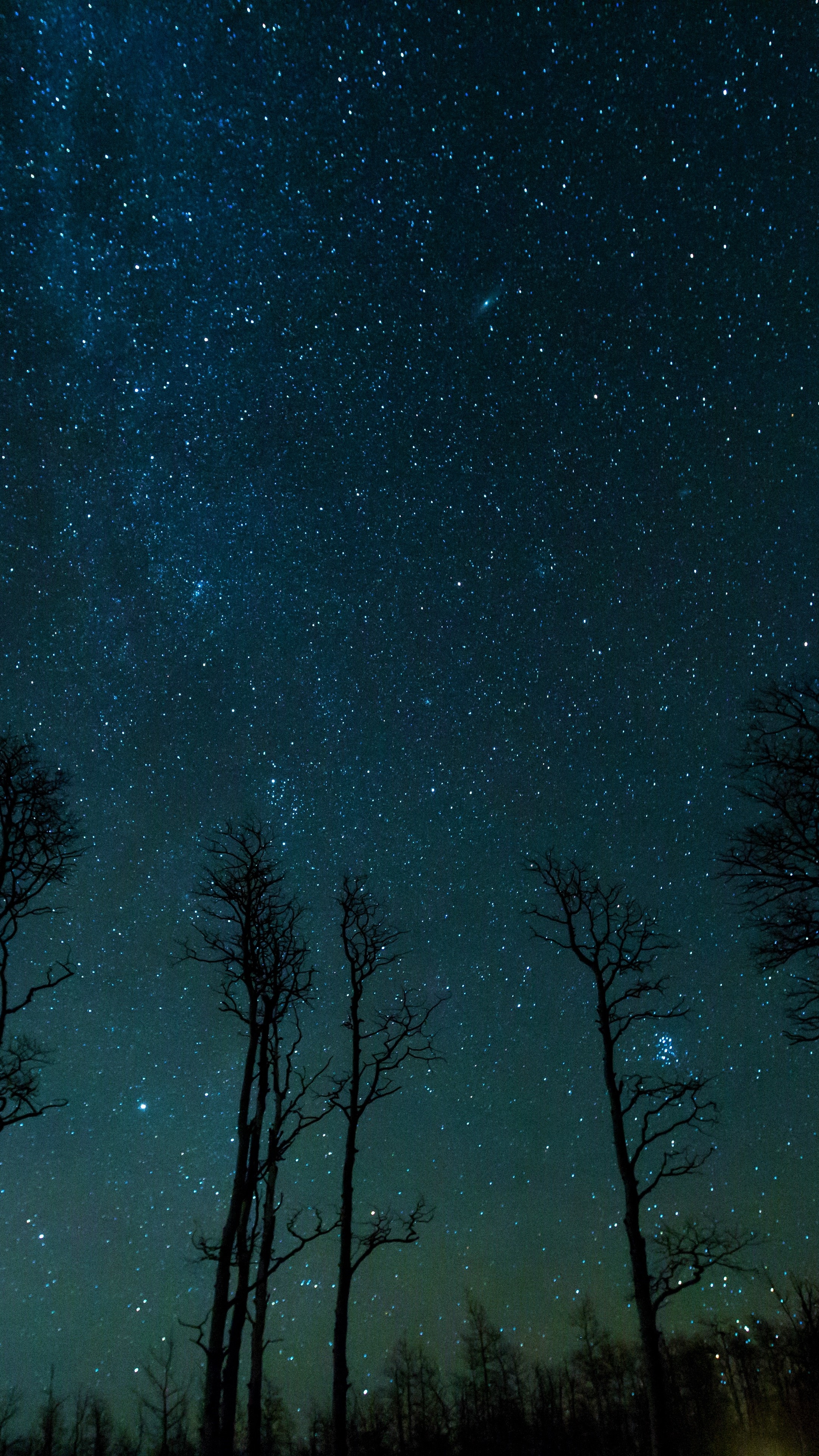 Download mobile wallpaper Sky, Night, Silhouette, Tree, Starry Sky, Earth, Milky Way for free.