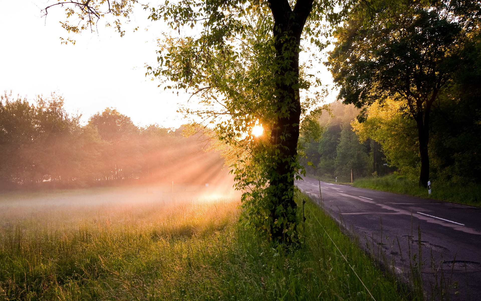 Download mobile wallpaper Road, Sunrise, Earth, Sunbeam for free.