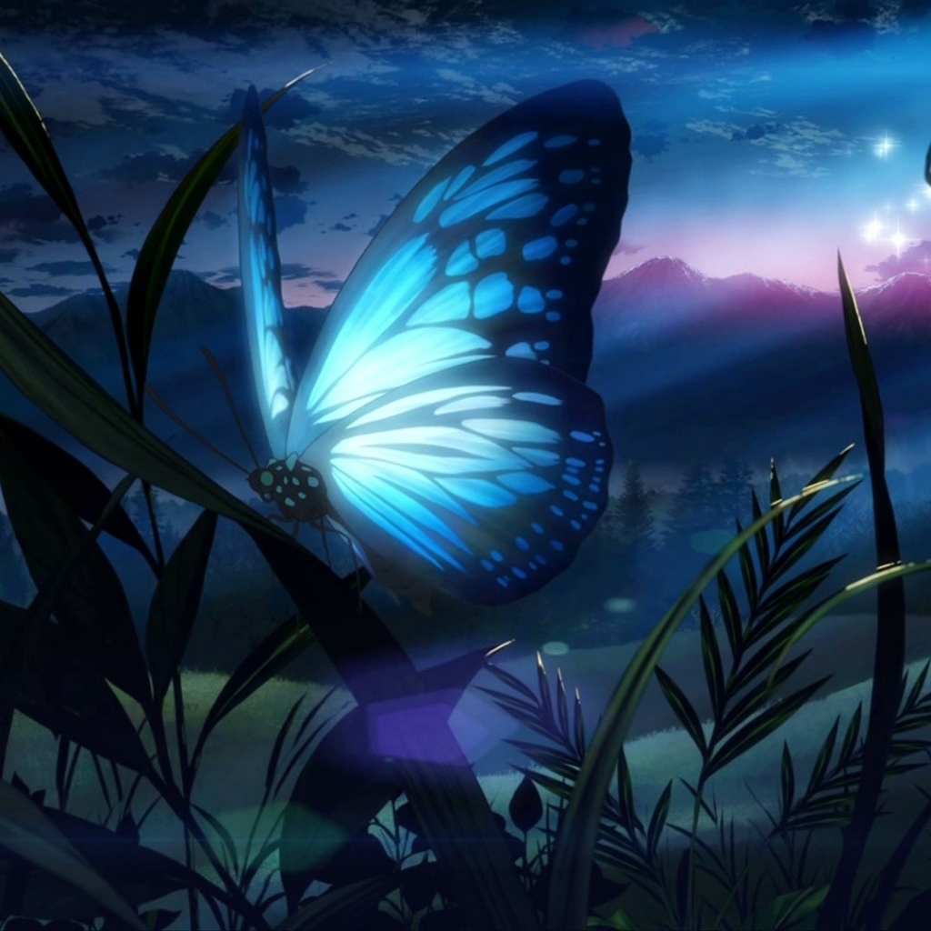 Free download wallpaper Butterfly, Animal on your PC desktop