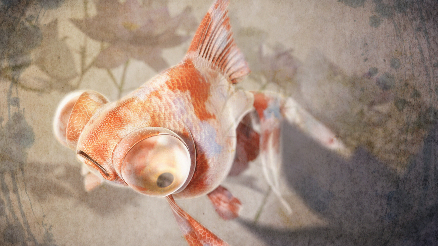 Скачать обои бесплатно Животные, Рыба, Золотая Рыбка картинка на рабочий стол ПК