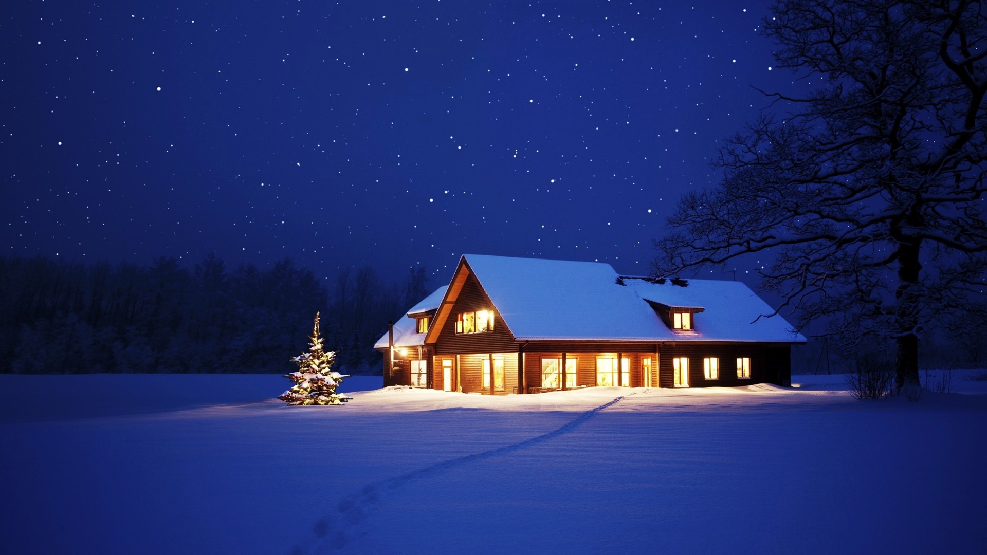 Скачати мобільні шпалери Зима, Сніг, Дерево, Різдвяна Ялинка, Створено Людиною, Будинок безкоштовно.