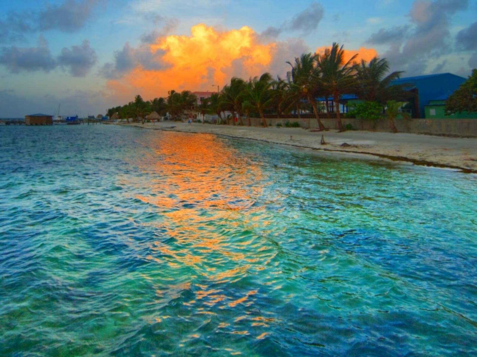 Baixe gratuitamente a imagem Pôr Do Sol, Mar, Praia, Oceano, Palmeira, Terra, Fotografia na área de trabalho do seu PC