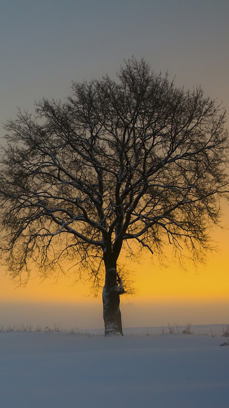 Скачати мобільні шпалери Hdr, Фотографія безкоштовно.