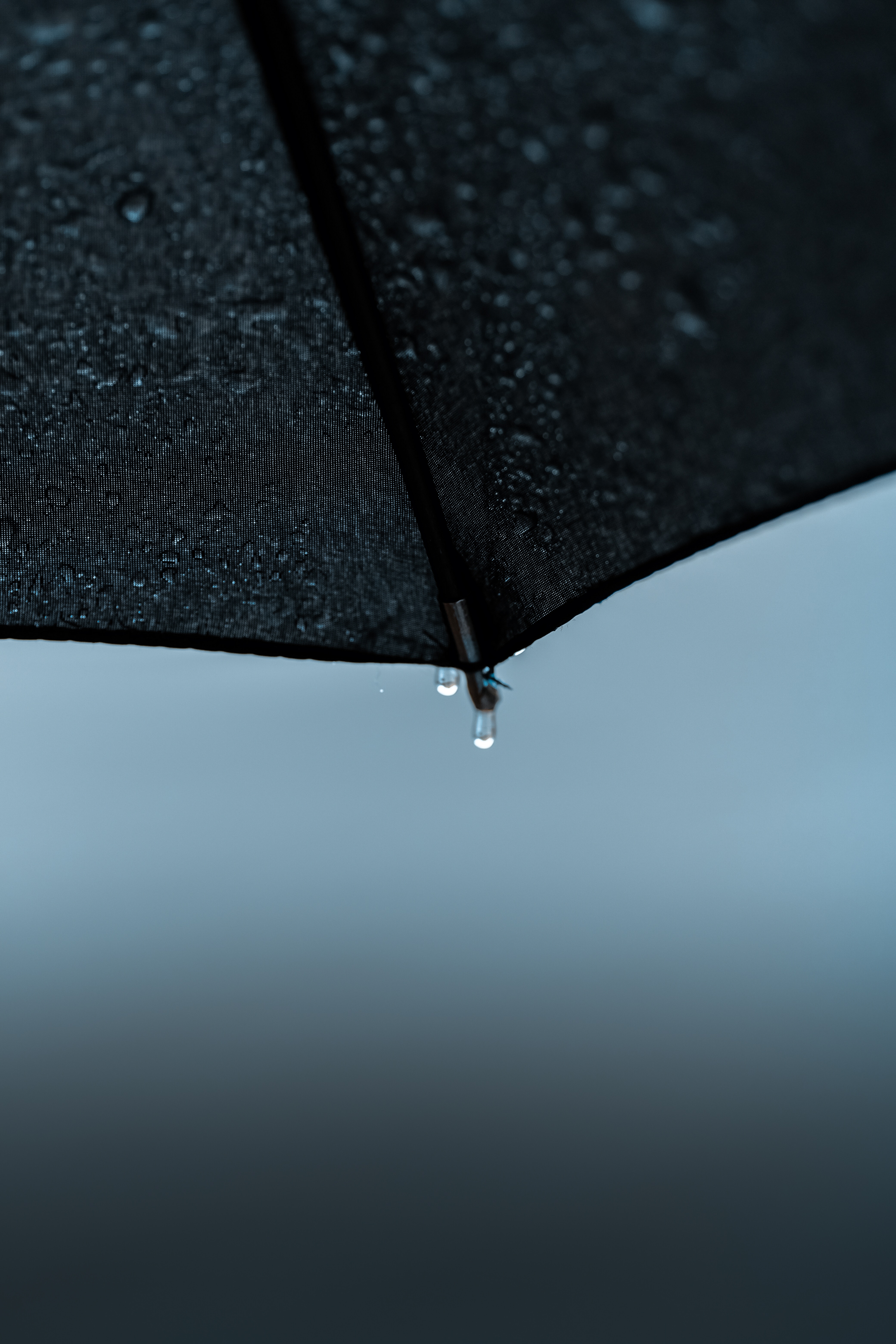 Free download wallpaper Miscellanea, Miscellaneous, Drops, Wet, Umbrella, Rain on your PC desktop