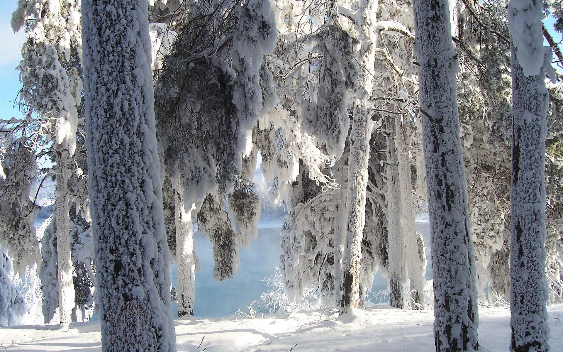 Laden Sie das Winter, Erde/natur-Bild kostenlos auf Ihren PC-Desktop herunter