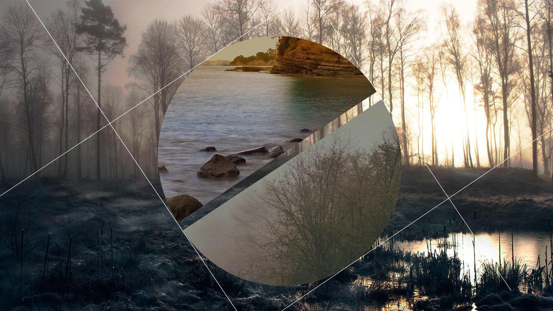 Laden Sie das Wasser, Wald, Baum, Künstlerisch, Polyscape-Bild kostenlos auf Ihren PC-Desktop herunter