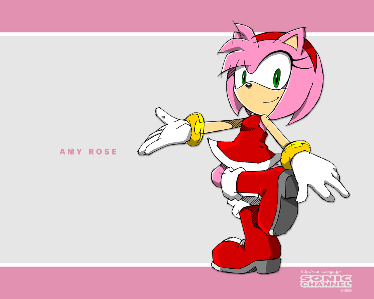 video game, amy rose, sonic the hedgehog