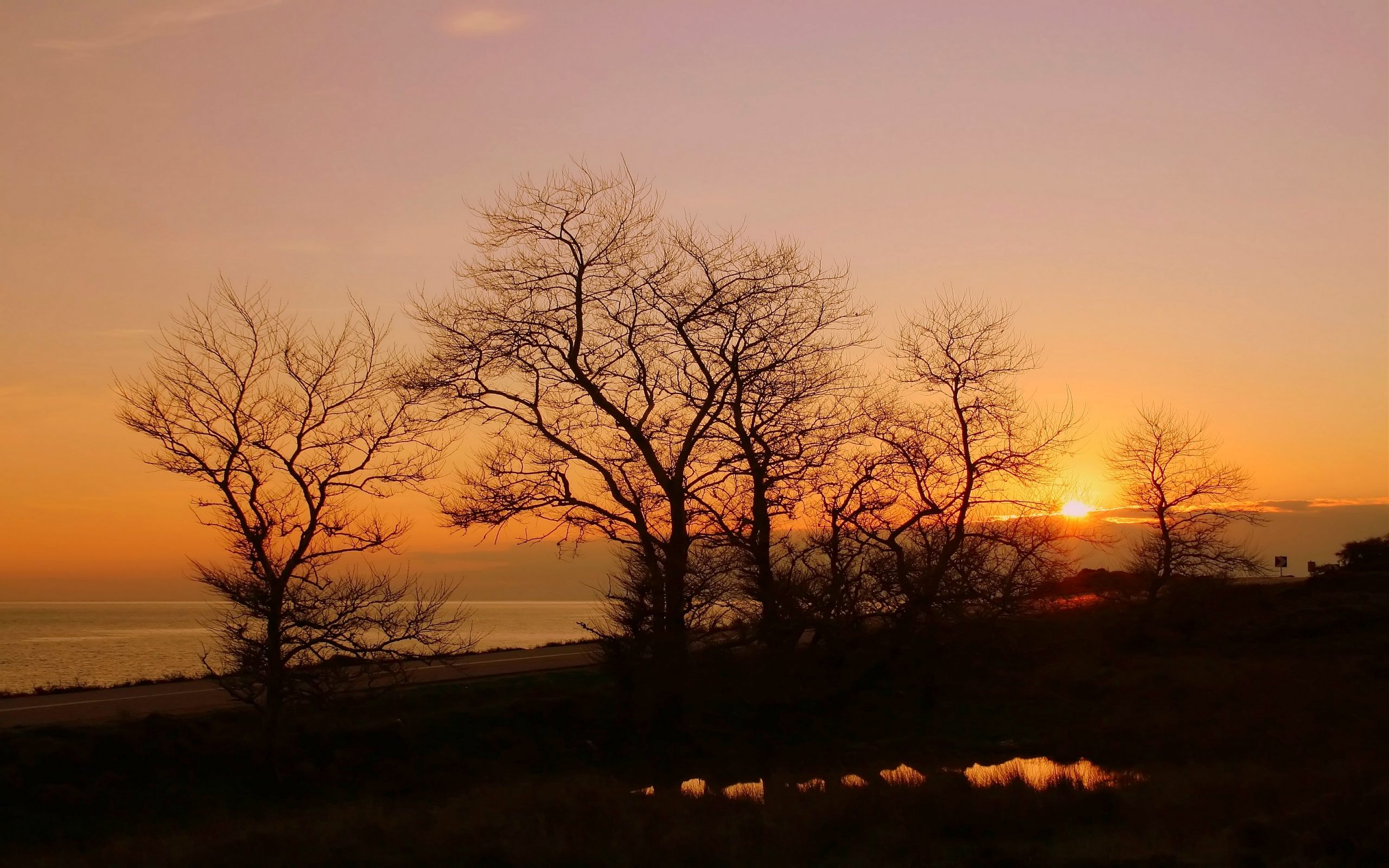 Descarga gratuita de fondo de pantalla para móvil de Amanecer, Tierra/naturaleza.