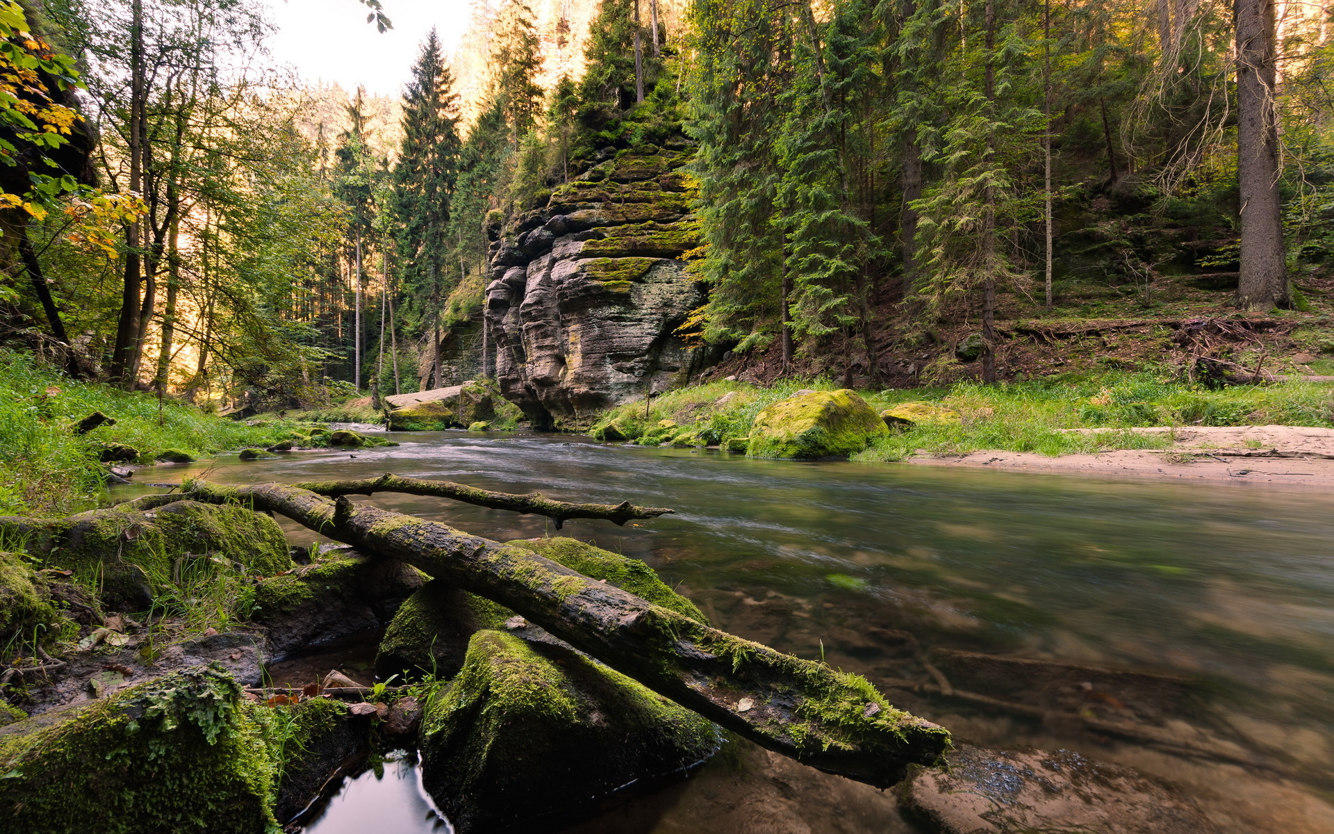 Laden Sie das Landschaft, Wald, Fluss, Strom, Szene, Erde/natur-Bild kostenlos auf Ihren PC-Desktop herunter