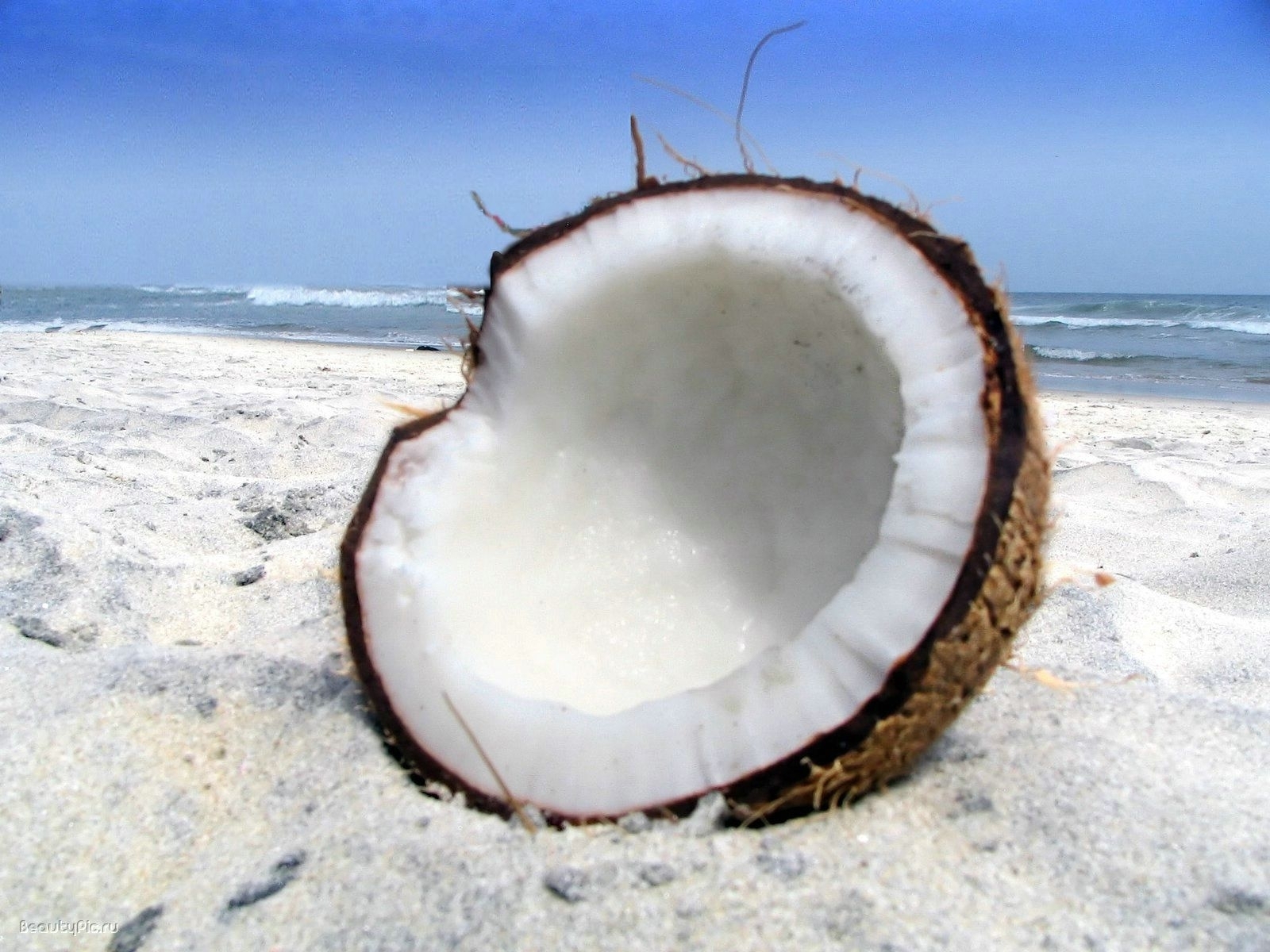 Full HD Coconuts Background